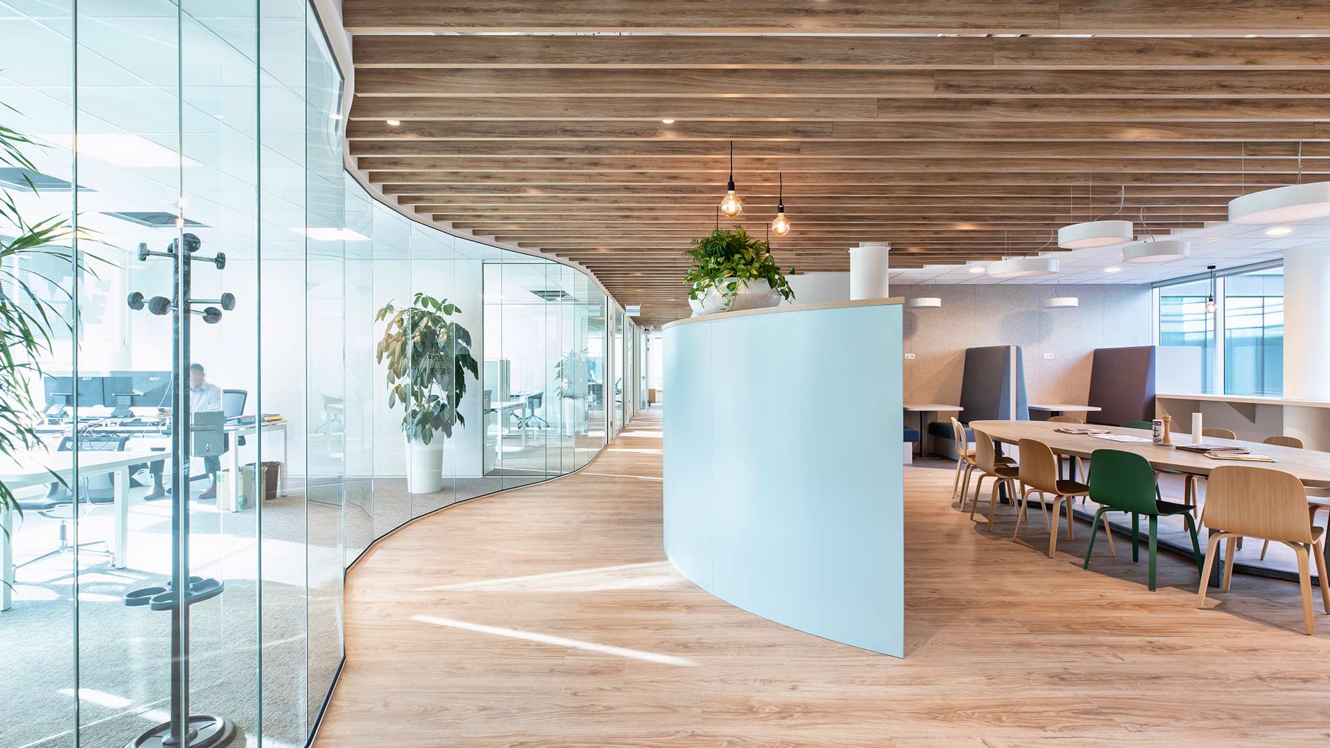 Open space office with curved walls.