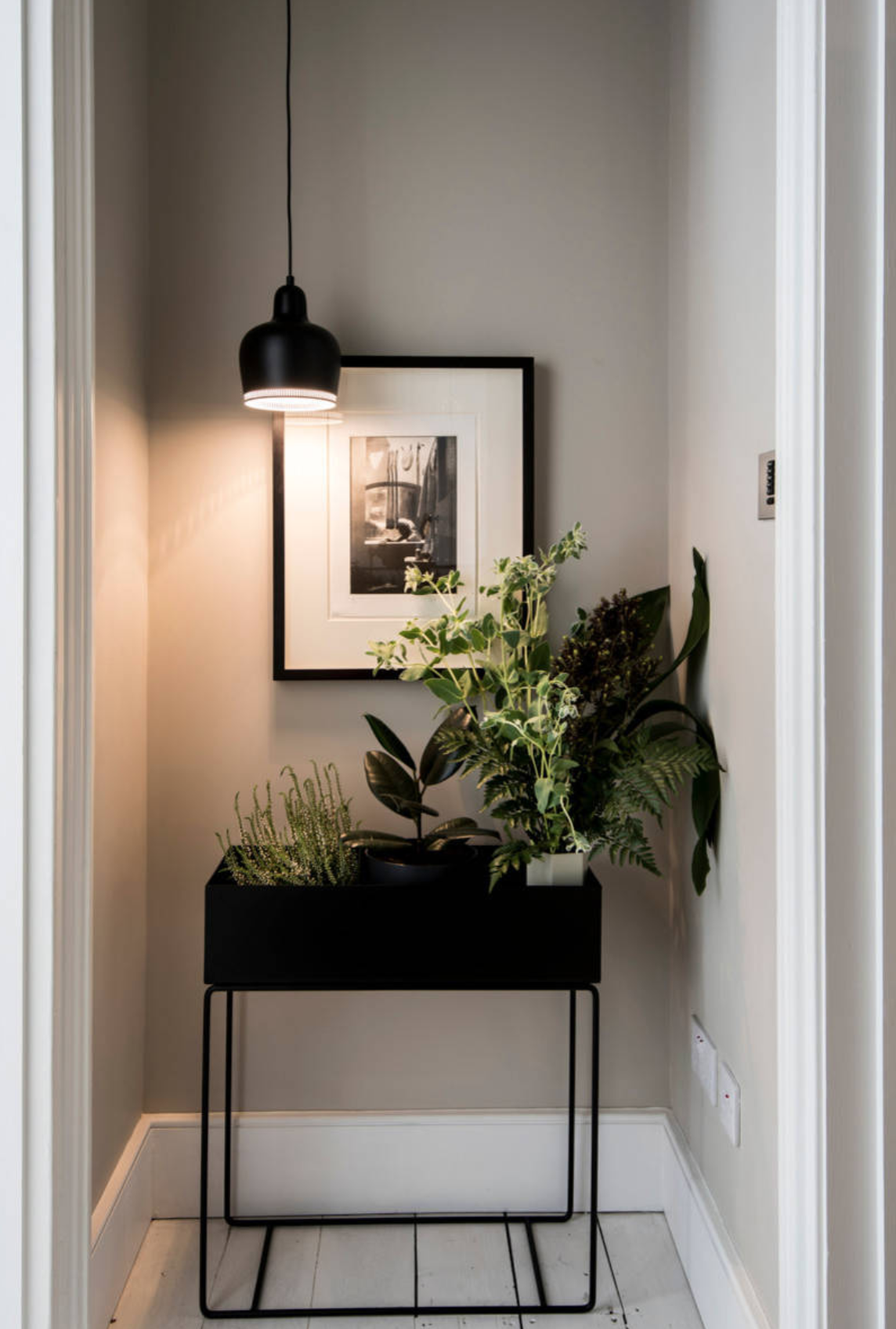 Plain wall at the end of a corridor given new life with a big planter full of greenery.