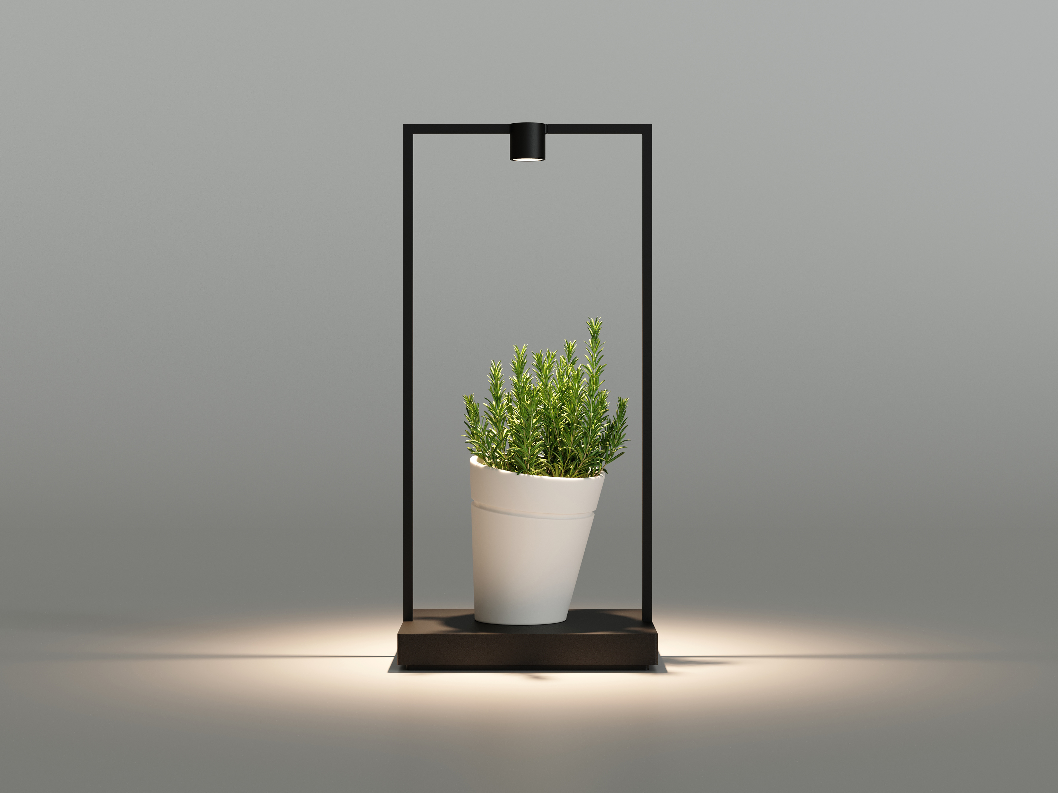 Portable table lamp in the shape of a metal frame. The hollow in the middle is filled with a plant that gets hit by the light.