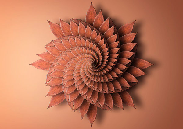 Print reproducing the fractal spiral of a plant.