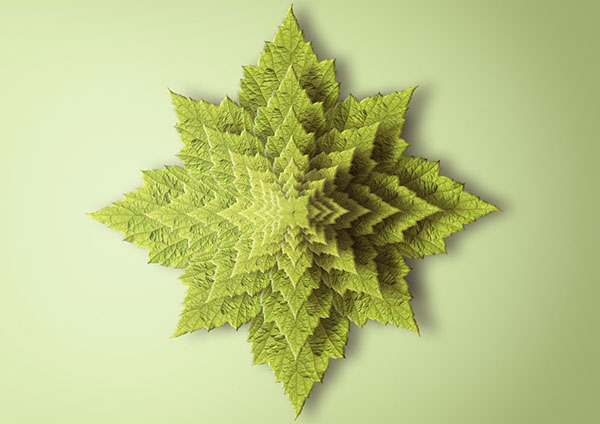 Fractal print reproducing a plant seen from above.