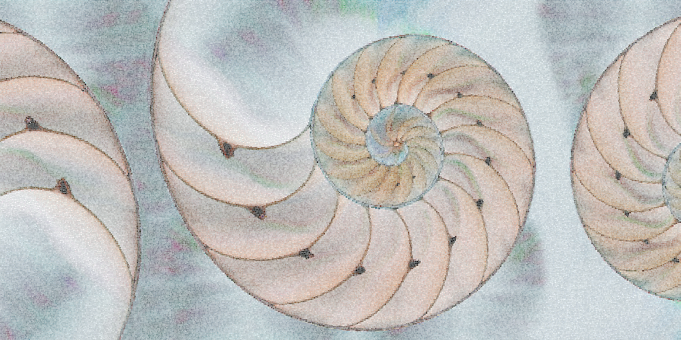 Glass mosaic pattern reproducing a nautilus fractal pattern.