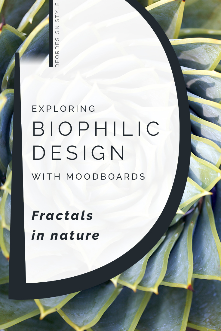 Biophilic moodboards: fractals in nature. Pin it.