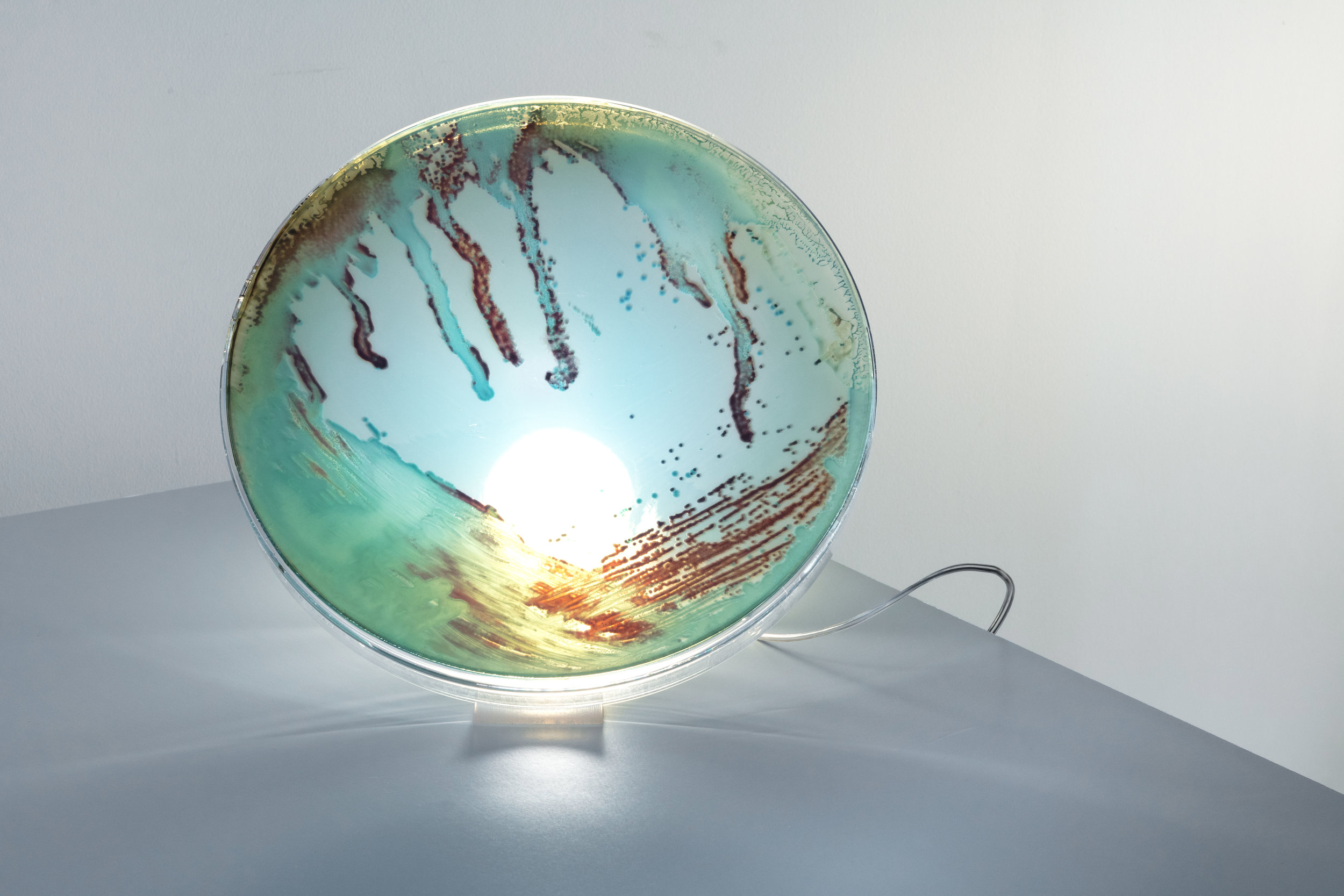 Bacteria lamp detail in the tones of blue.
