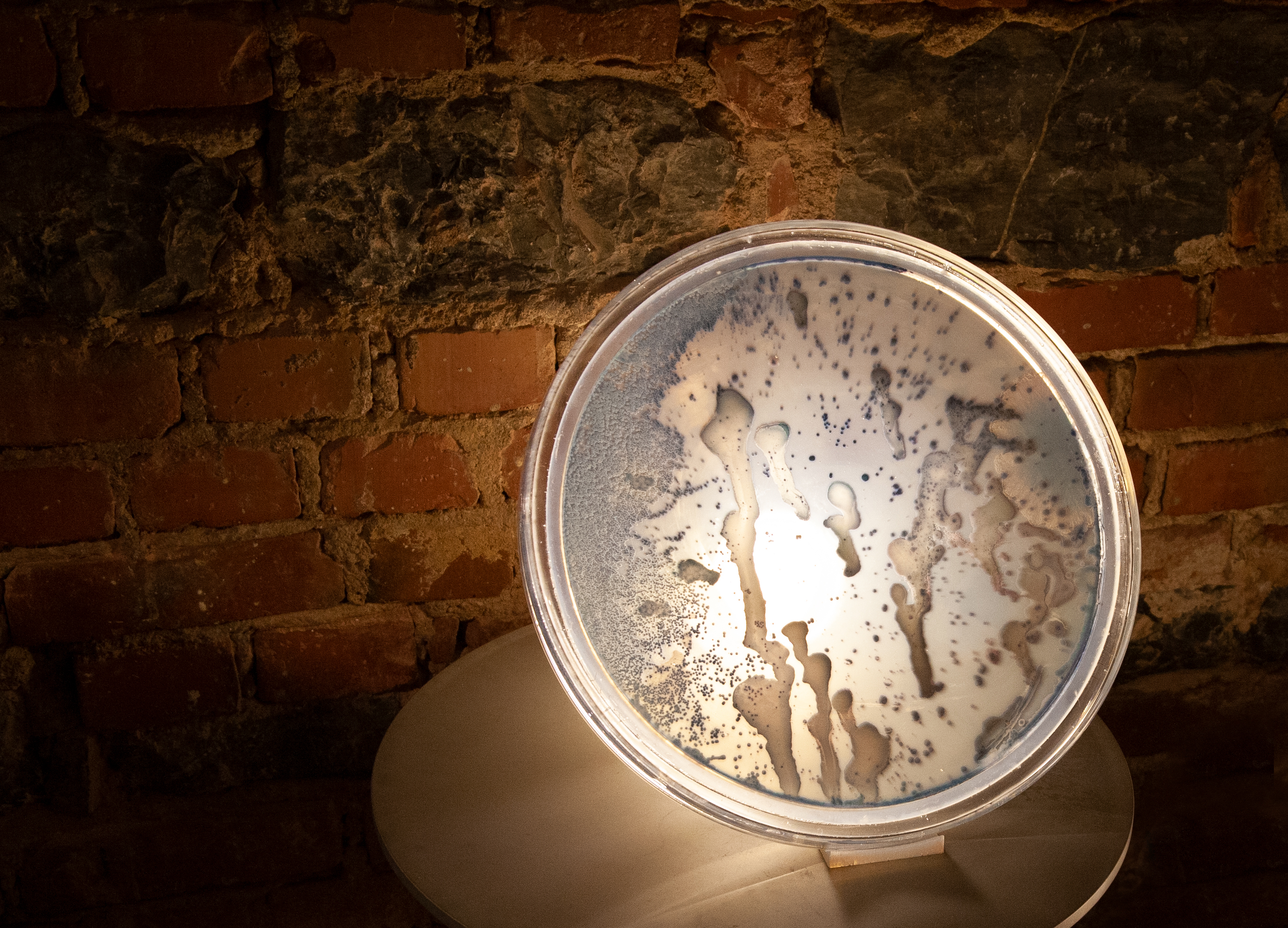 Bacteria lamp detail against a brick wall.