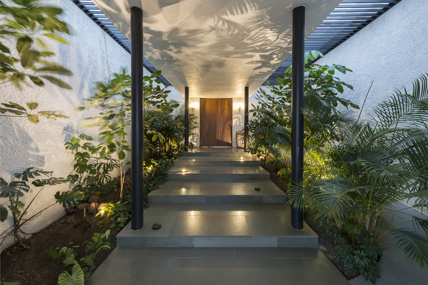 Home exterior at night. Light hits the plants whose reflection decorates the wall.