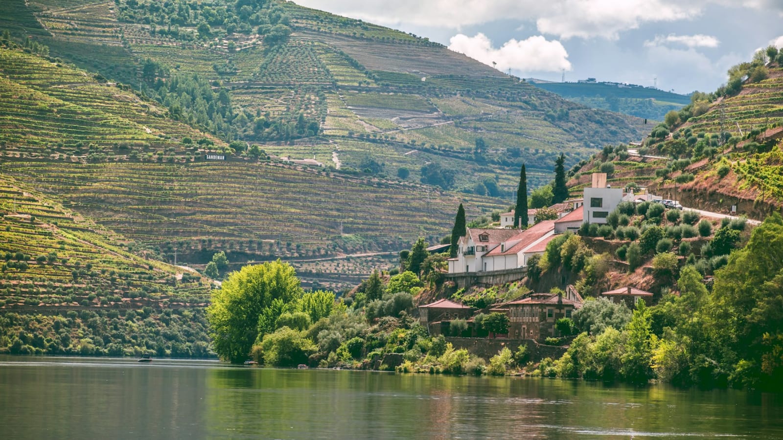Portuguese wine country, vineyard meals, and Douro scenery