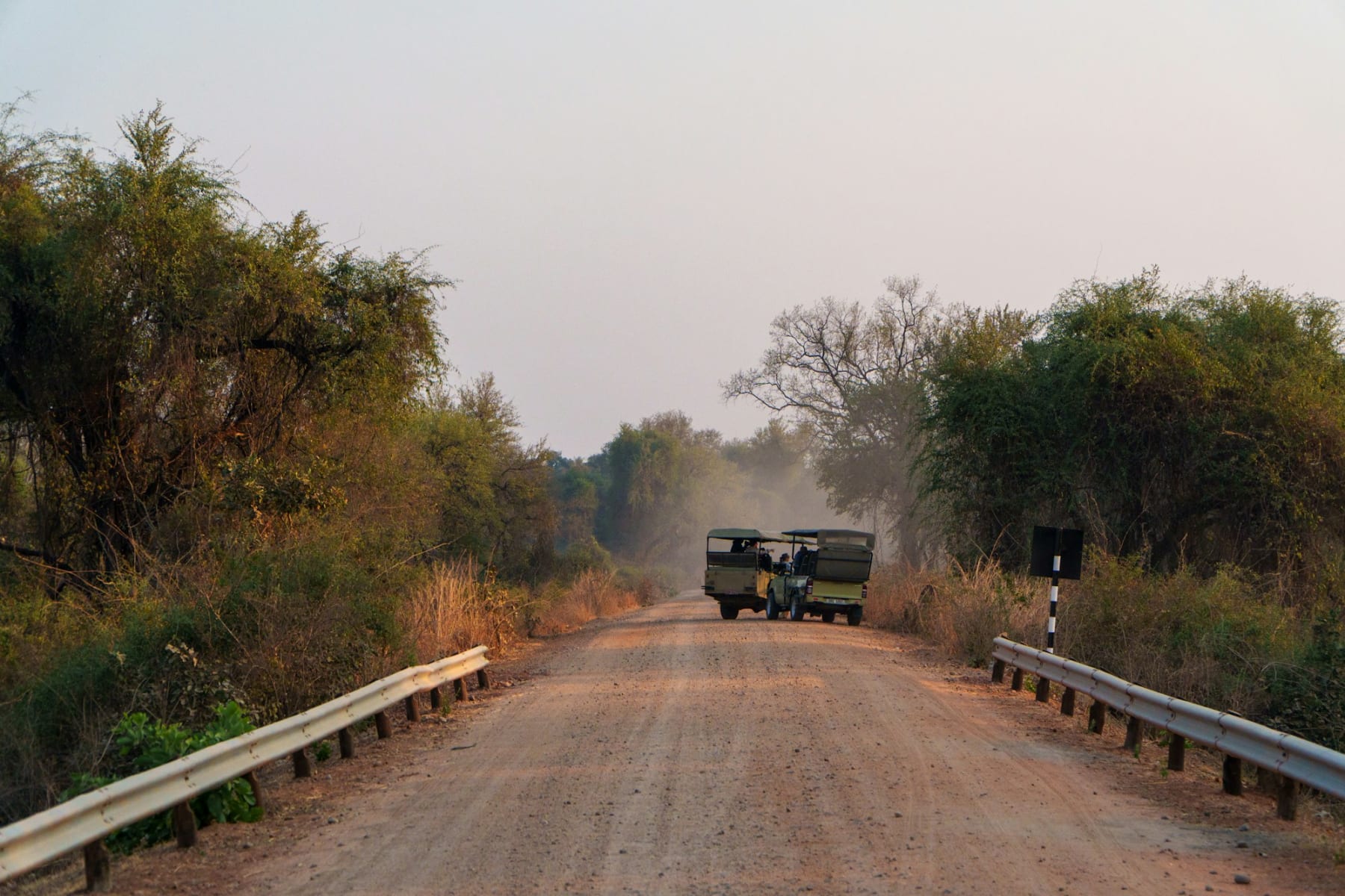 Elephants and East African landscape in Kenya