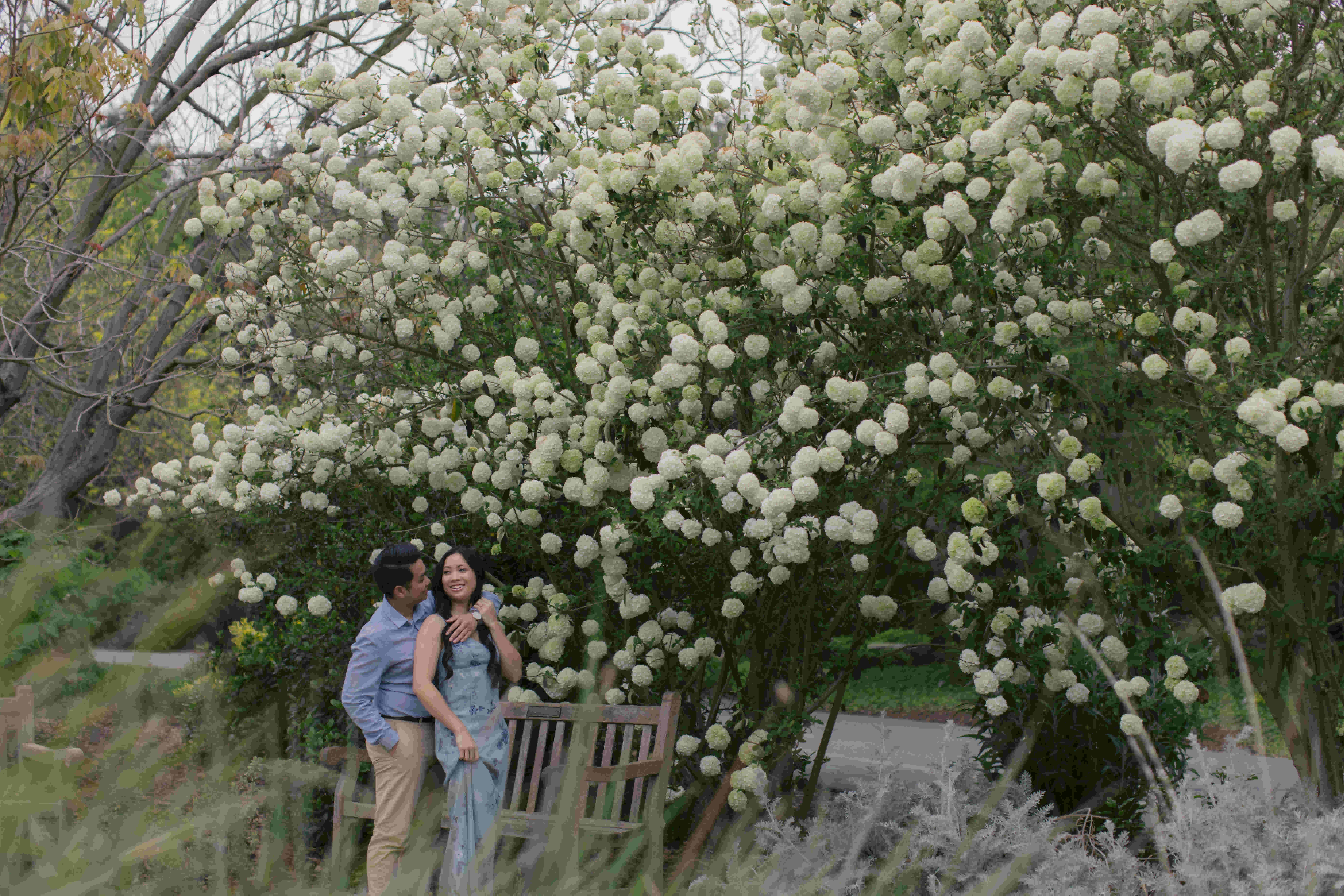 mattyeutheresa/gallery/LAArboretumEngagement-104_woaahz