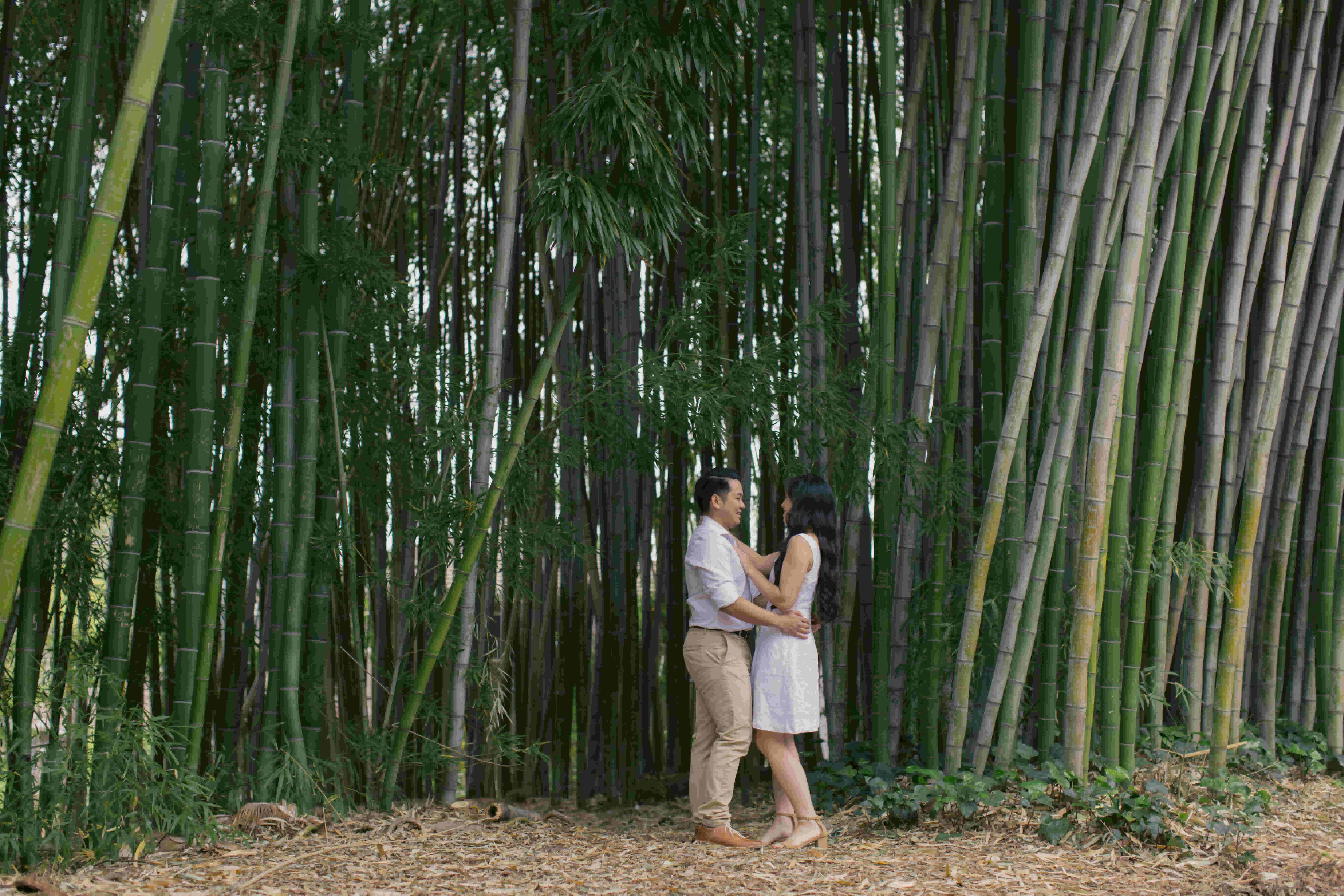 mattyeutheresa/gallery/LAArboretumEngagement-111_txhphu