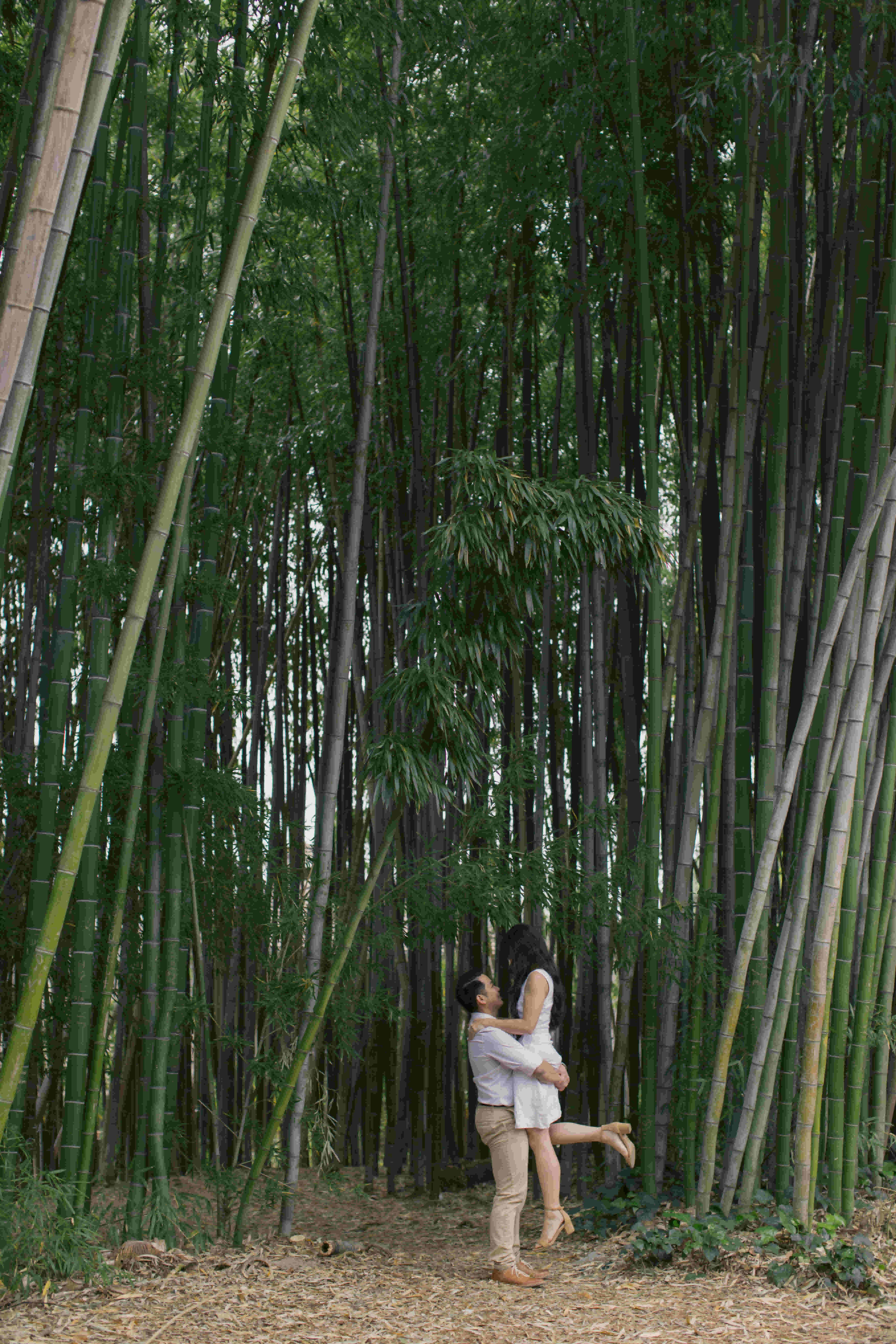 mattyeutheresa/gallery/LAArboretumEngagement-113_d4fdzs