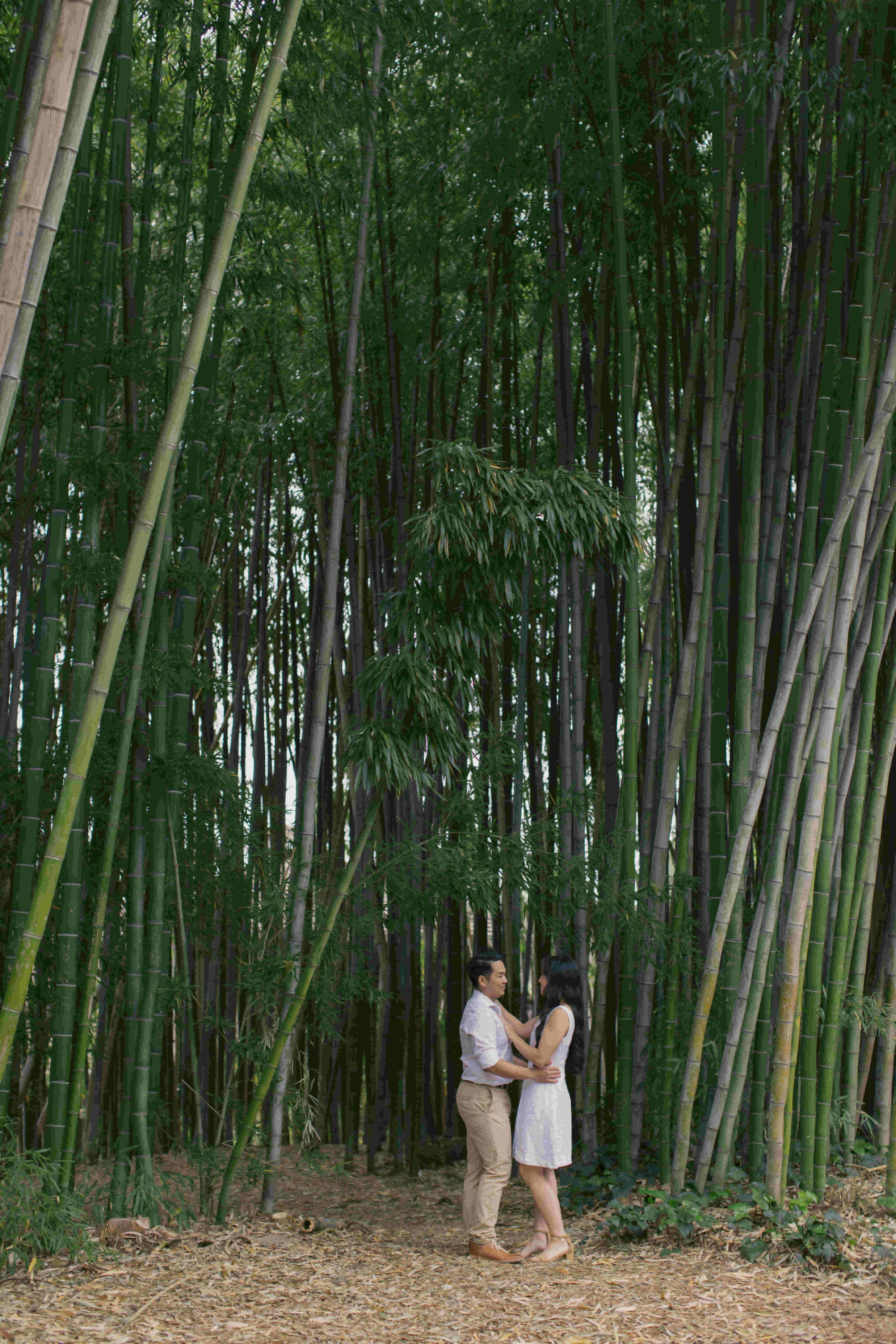mattyeutheresa/gallery/LAArboretumEngagement-112_nxsxib