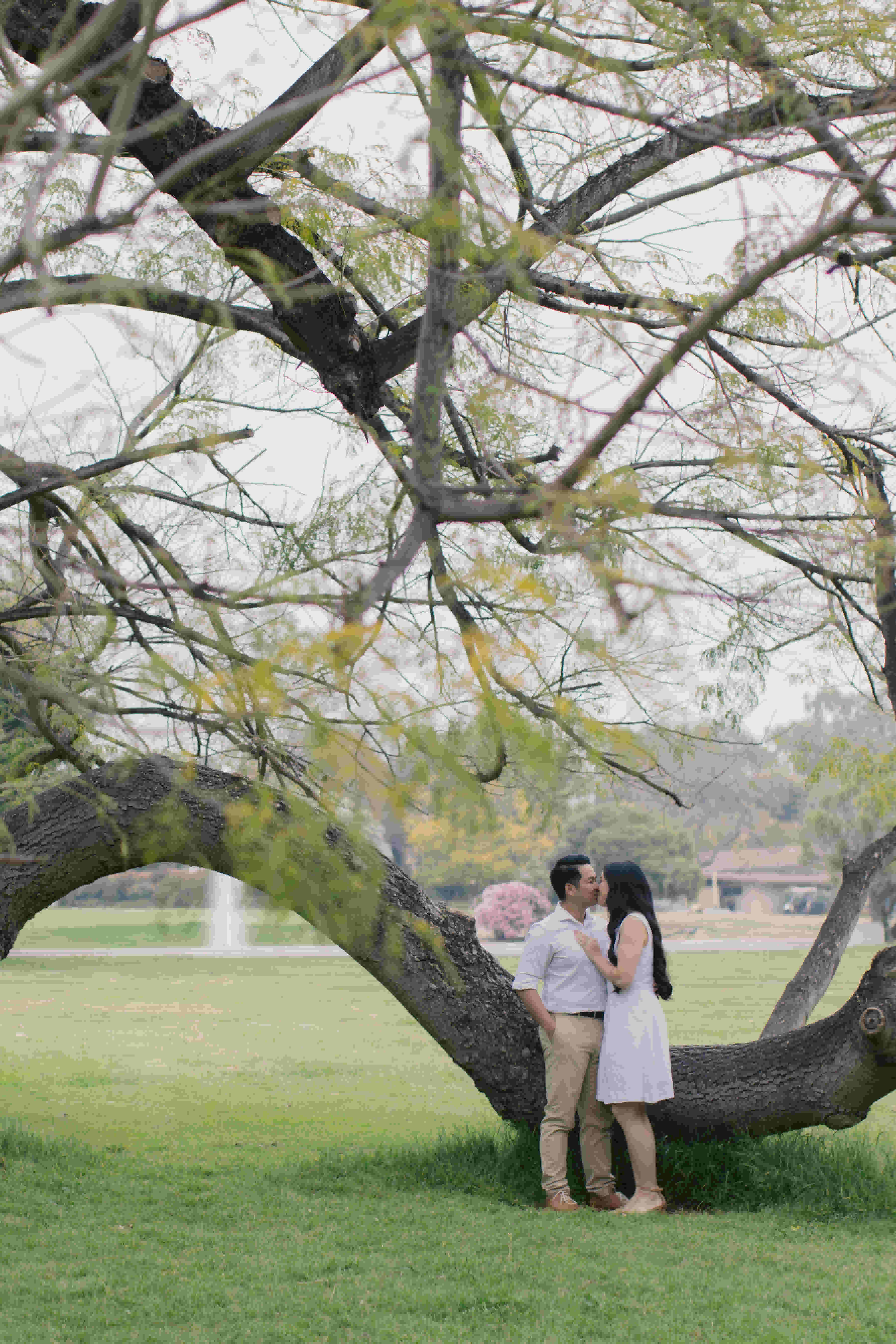 mattyeutheresa/gallery/LAArboretumEngagement-132_xtcyav