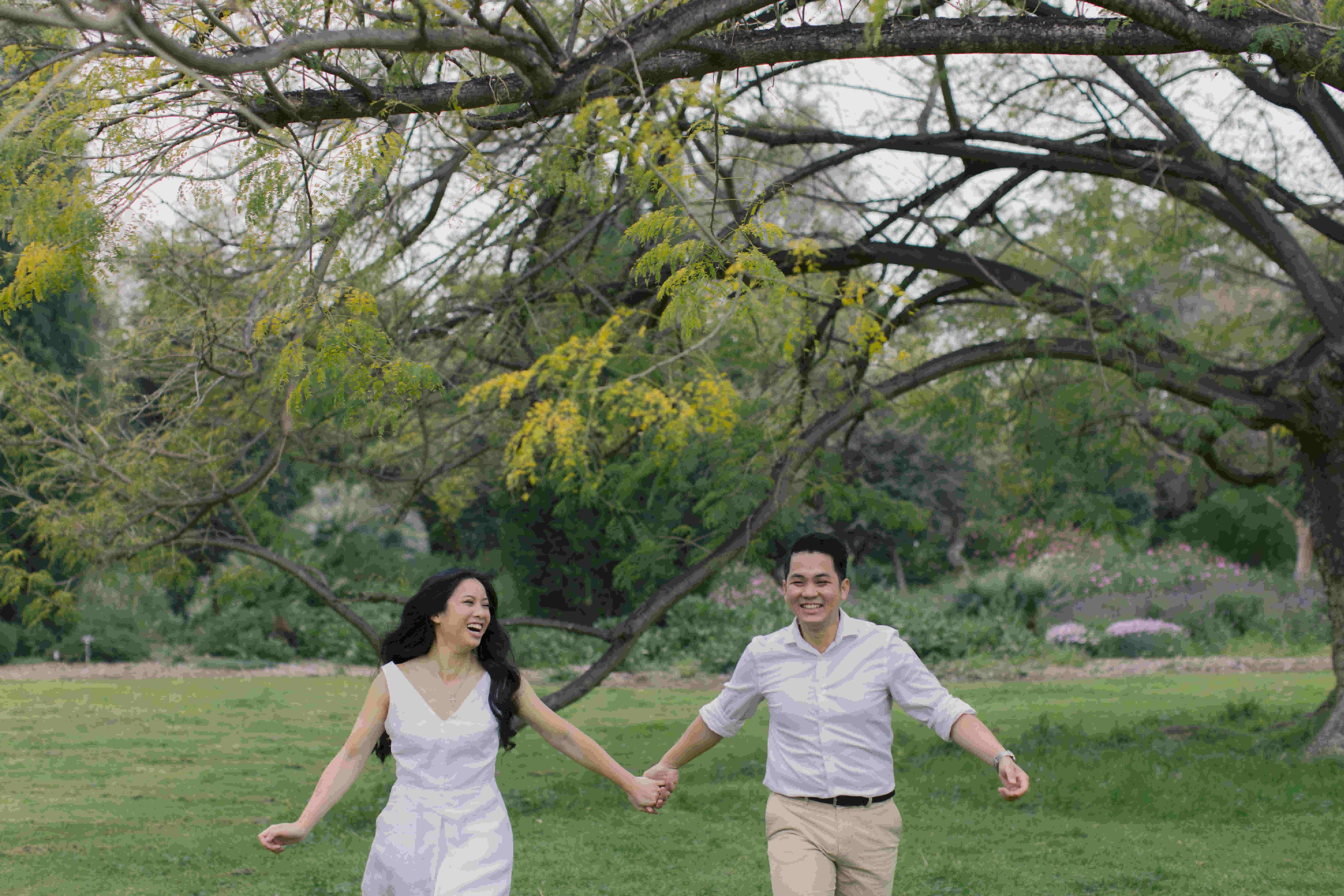 mattyeutheresa/gallery/LAArboretumEngagement-137_x8rjai