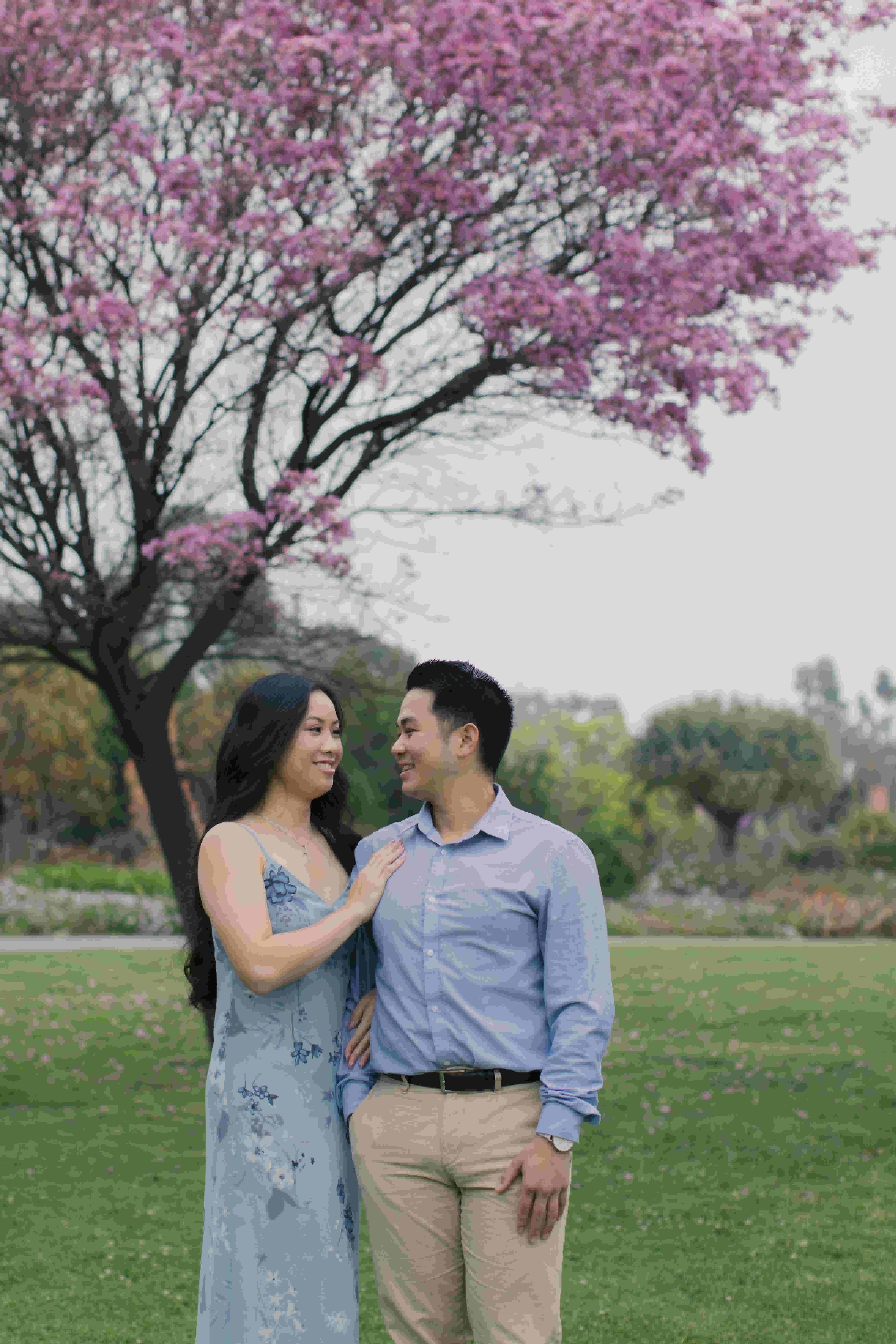 mattyeutheresa/gallery/LAArboretumEngagement-42_xndi4l