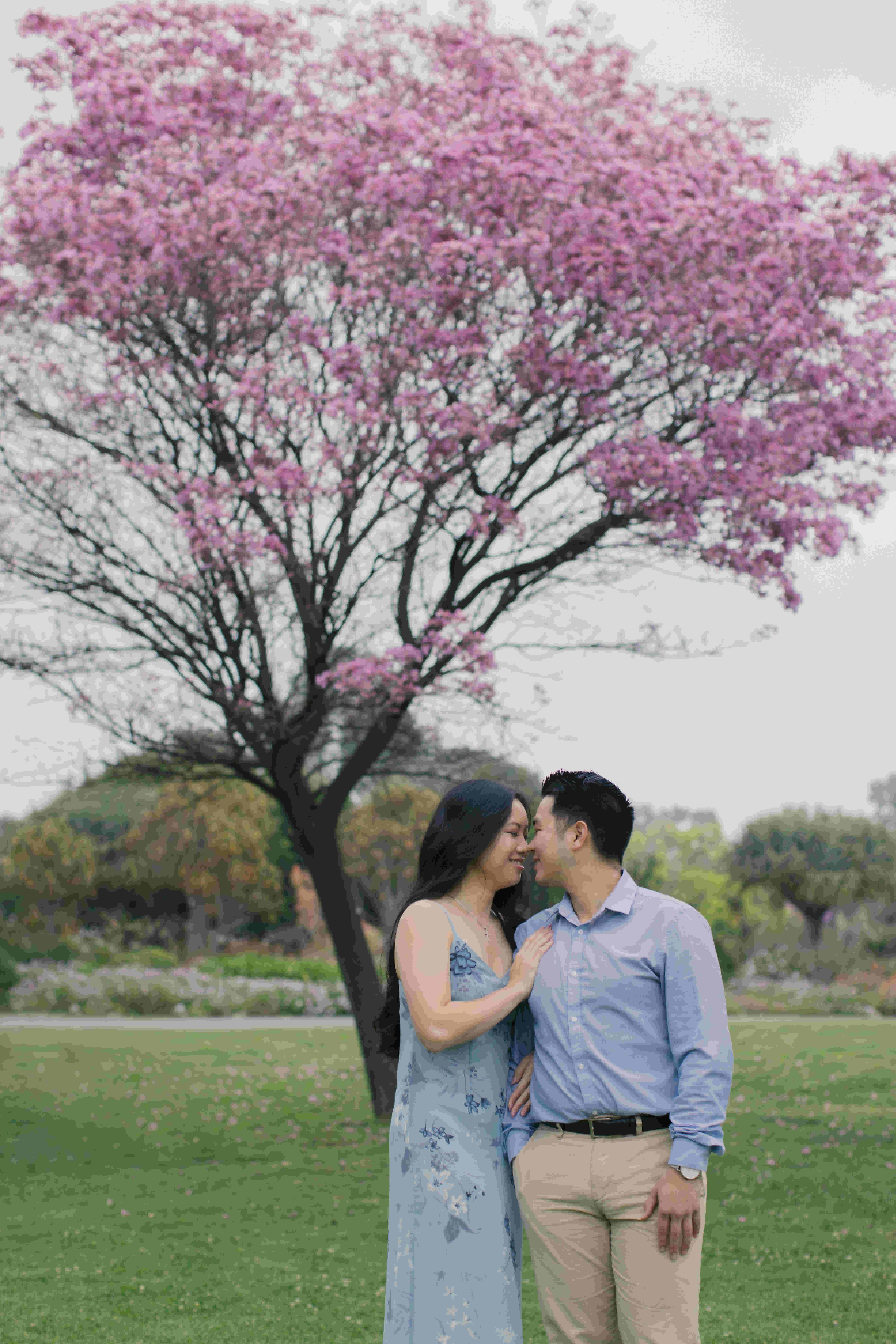 mattyeutheresa/gallery/LAArboretumEngagement-43_lhlxl5