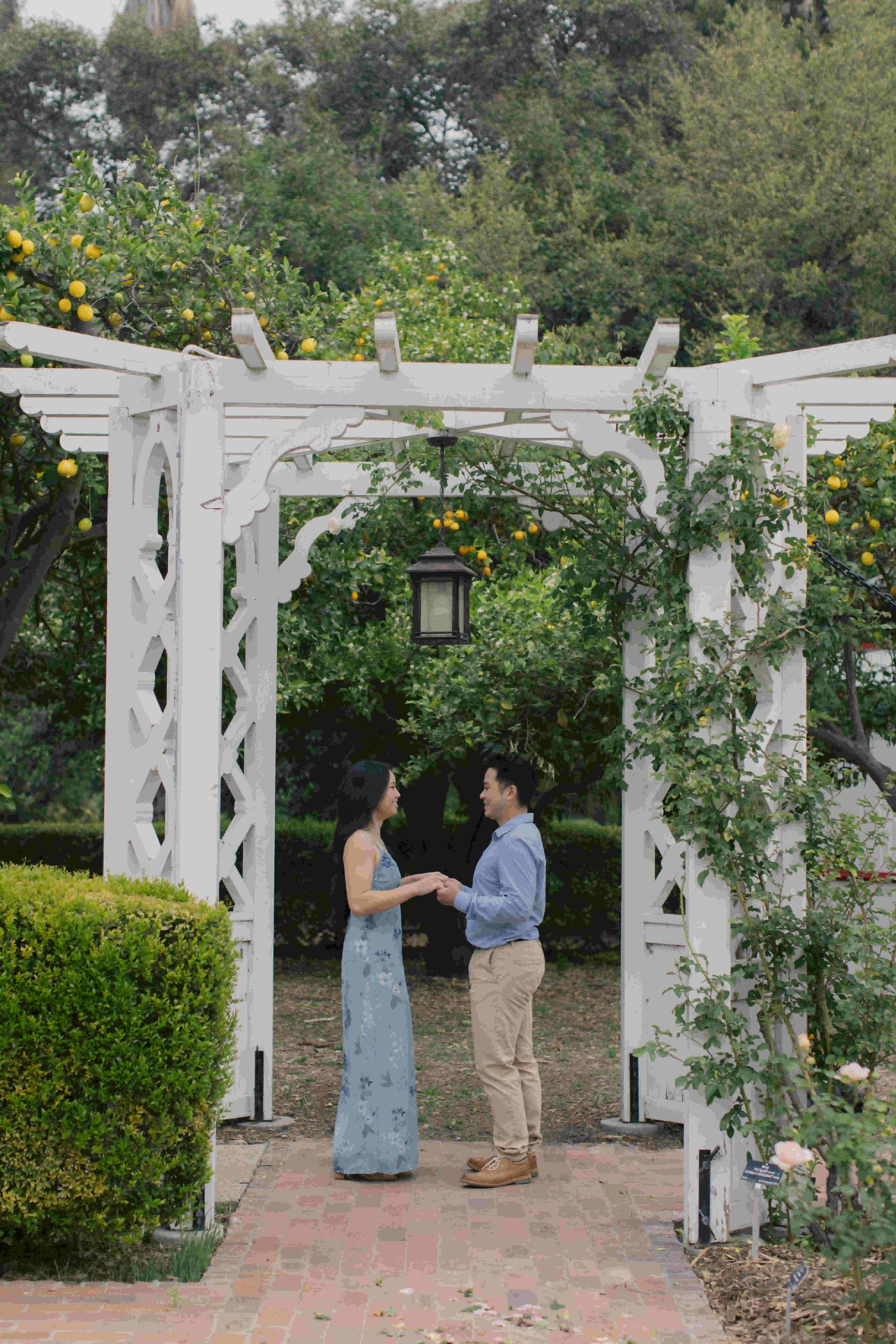 mattyeutheresa/gallery/LAArboretumEngagement-77_qajjjt