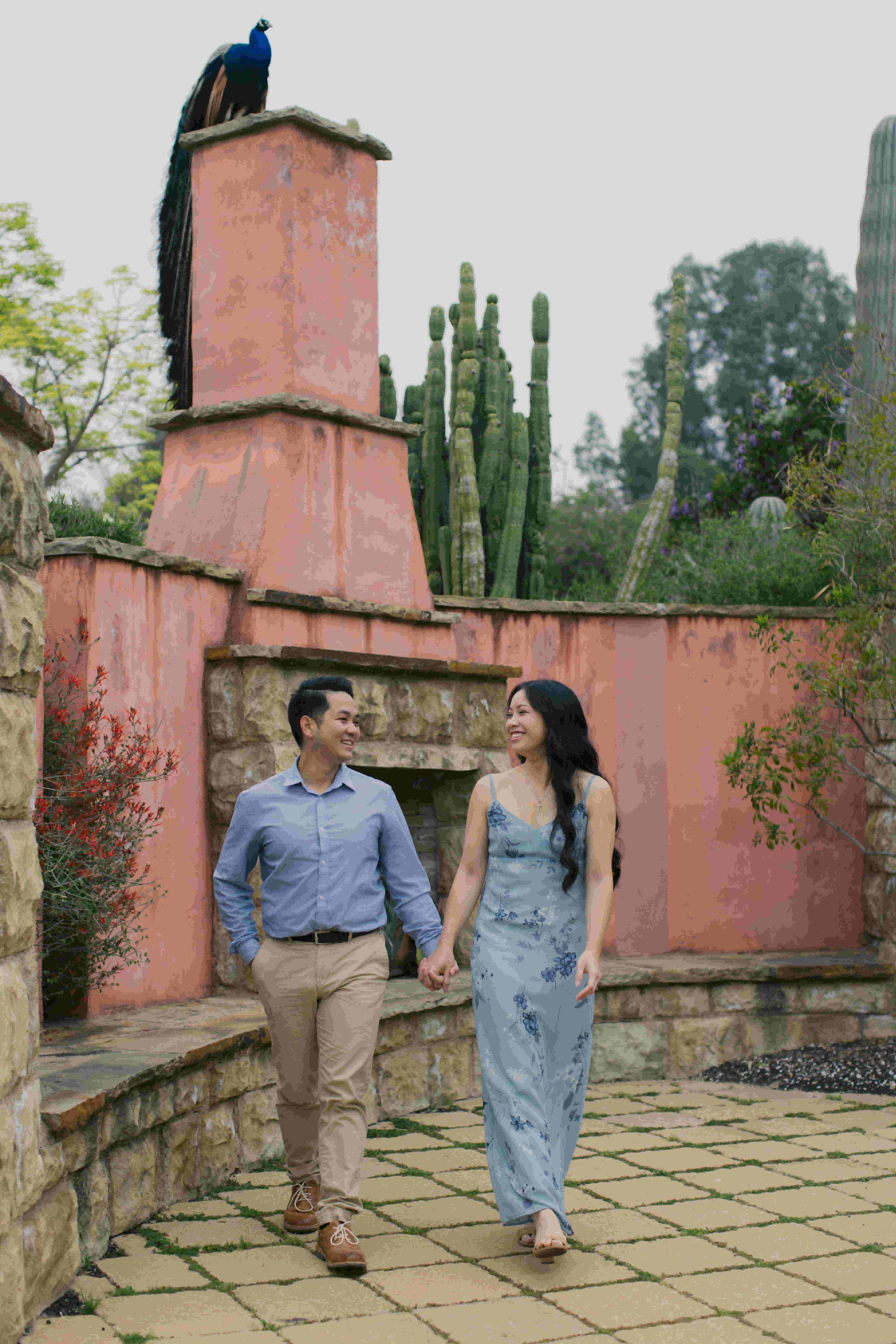 mattyeutheresa/gallery/LAArboretumEngagement-15_xmcyqg
