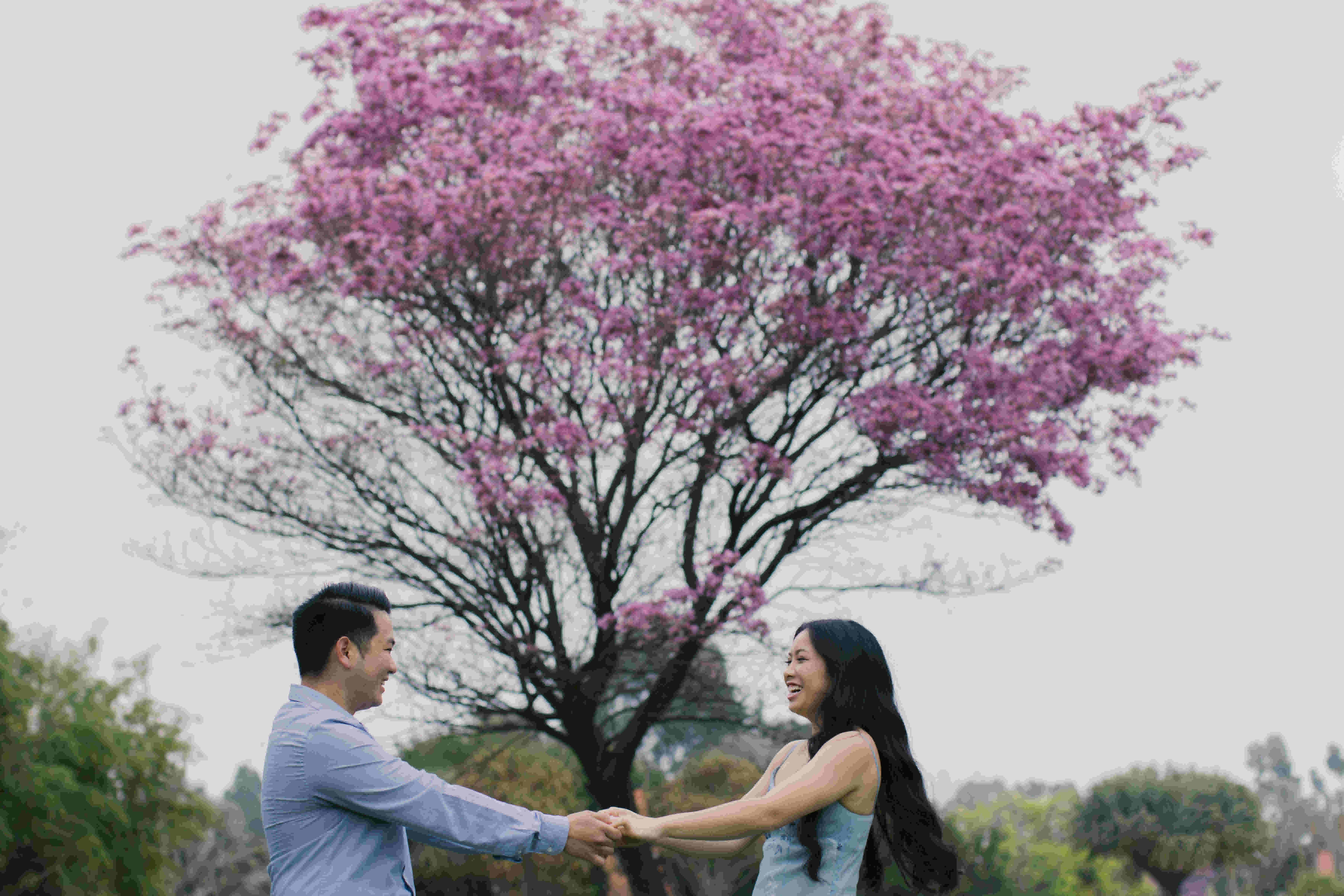 mattyeutheresa/gallery/LAArboretumEngagement-40_irr6u7