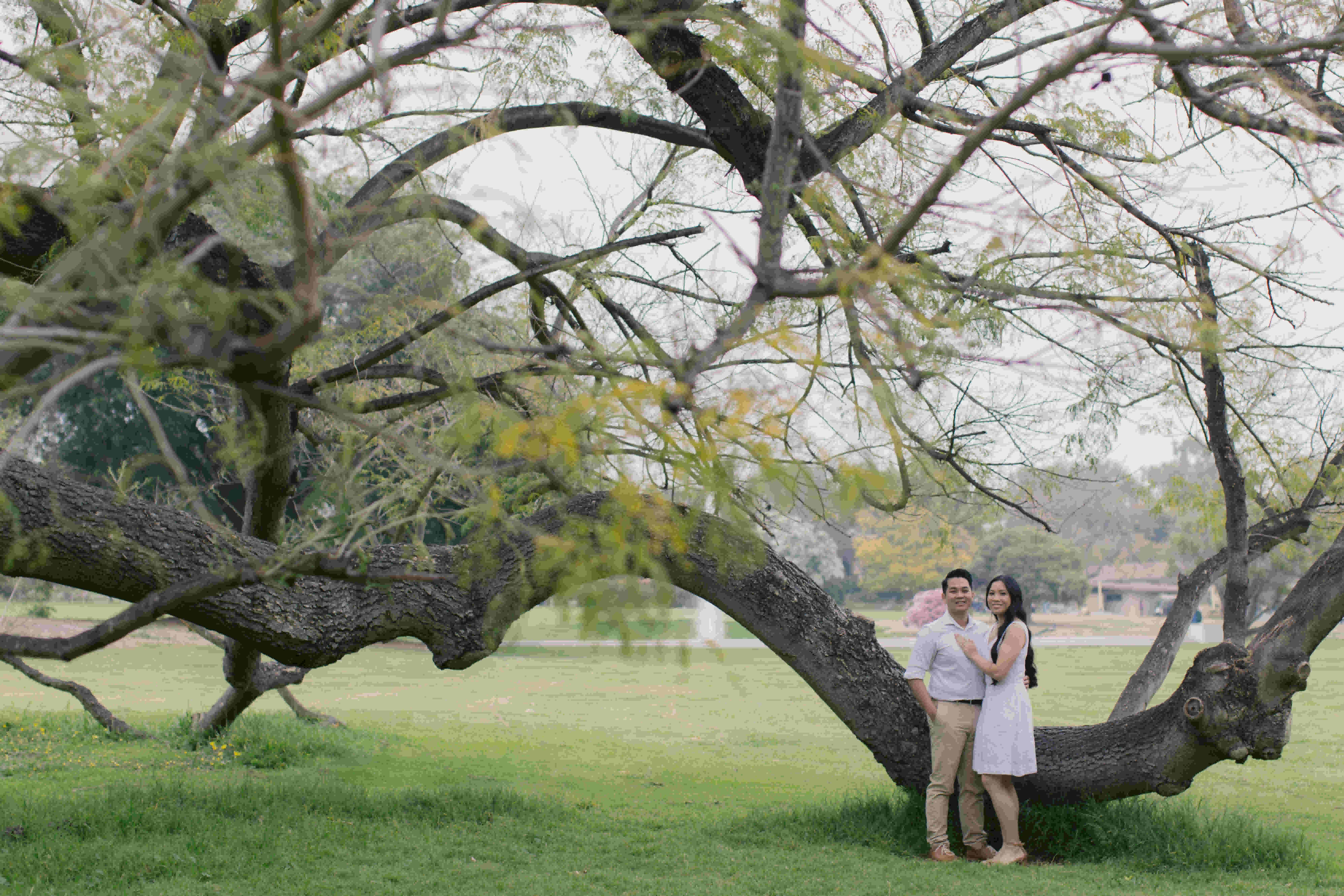 mattyeutheresa/gallery/LAArboretumEngagement-130_hnkbpc