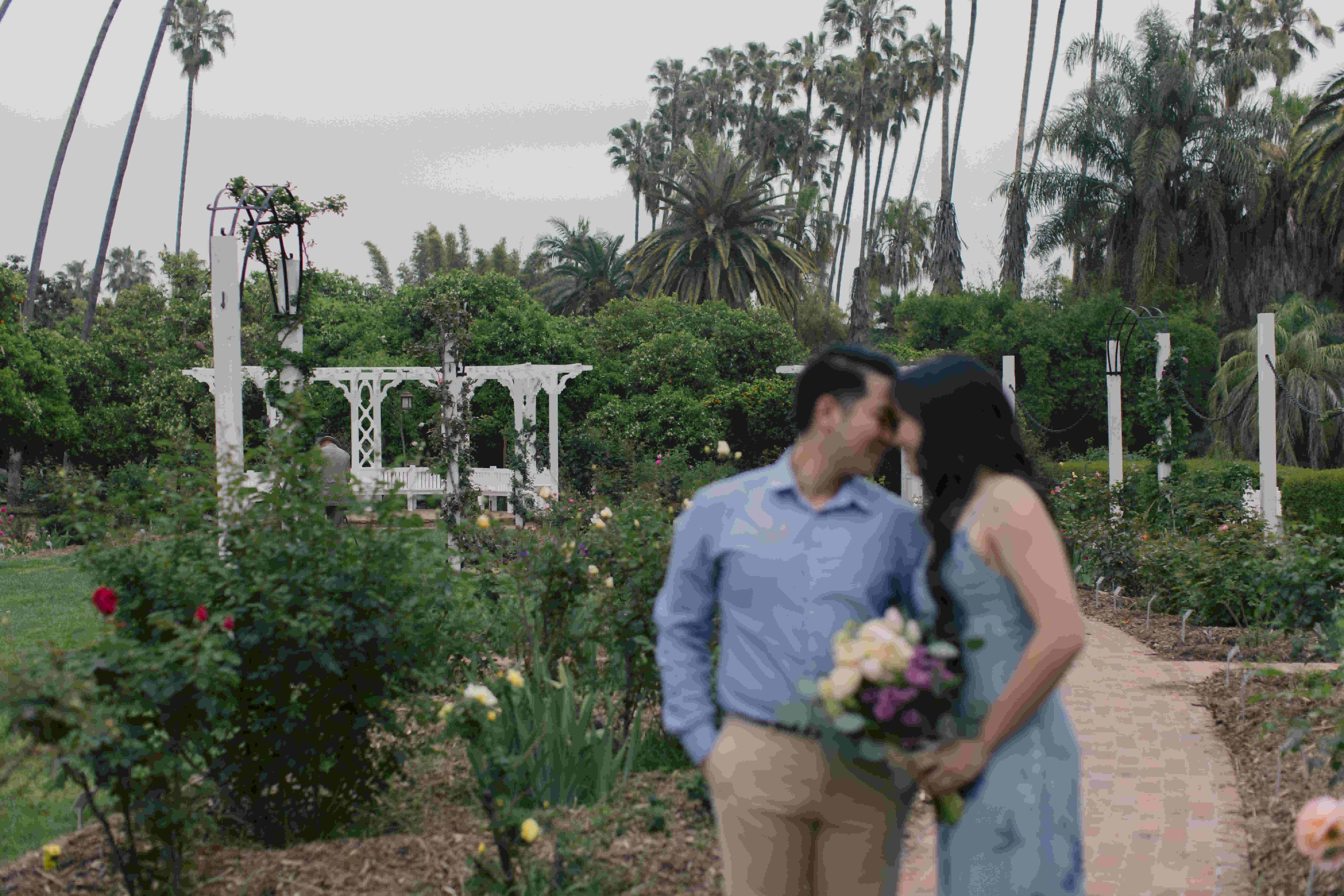 mattyeutheresa/gallery/LAArboretumEngagement-91_tauke6