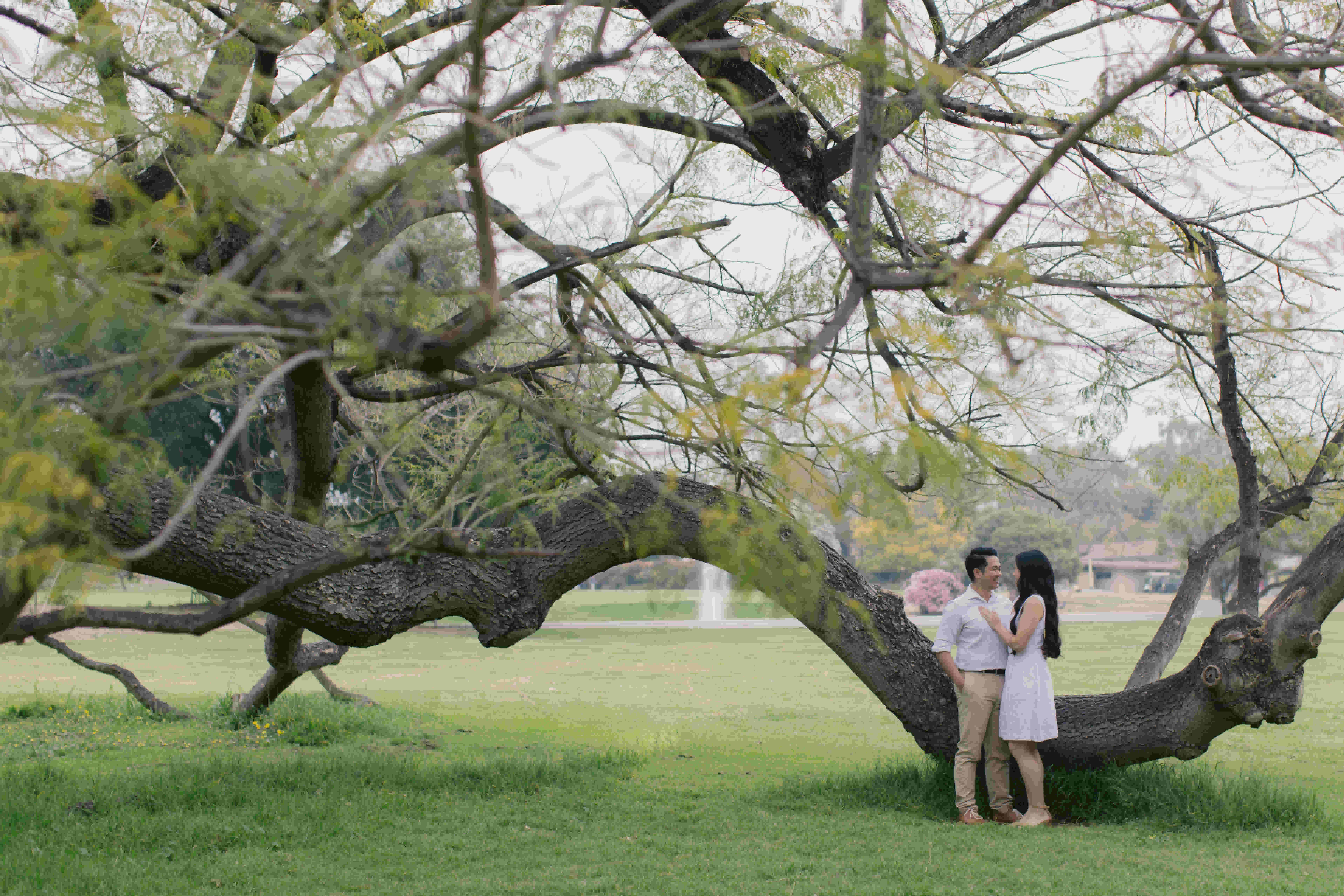 mattyeutheresa/gallery/LAArboretumEngagement-131_iscd6r