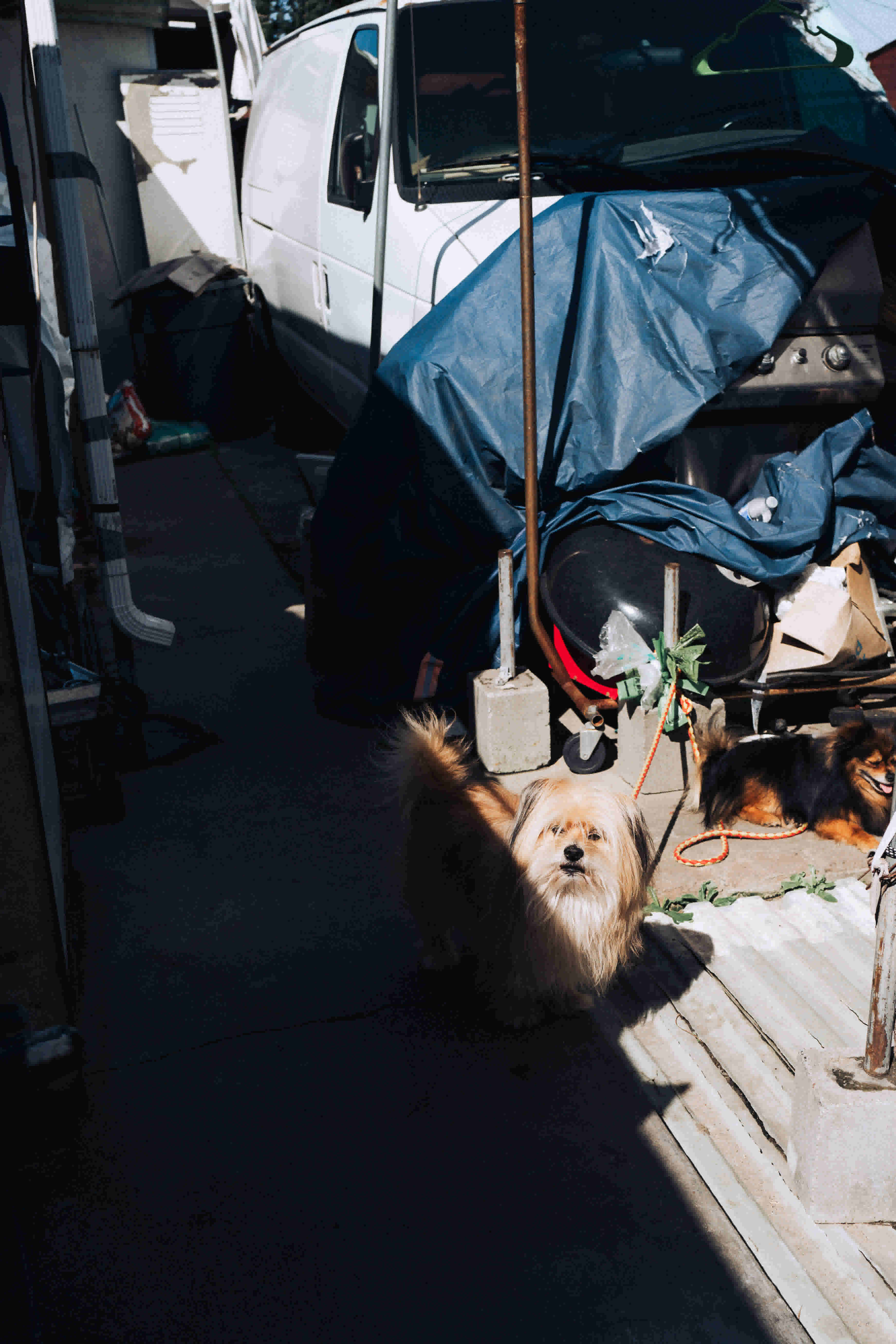 justab0t/pb2023_print-009_navedq