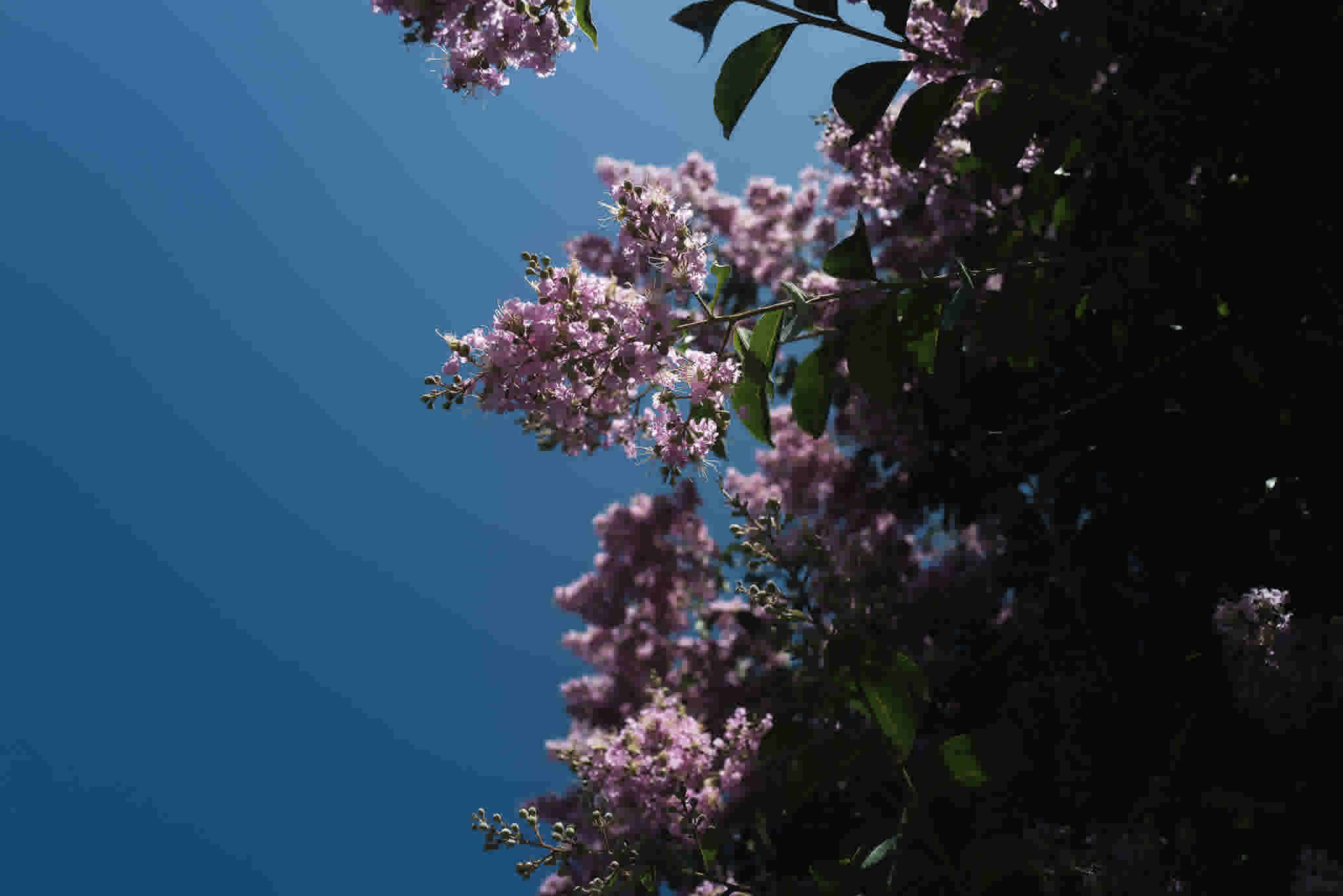 justab0t/L1002191_xv8x63