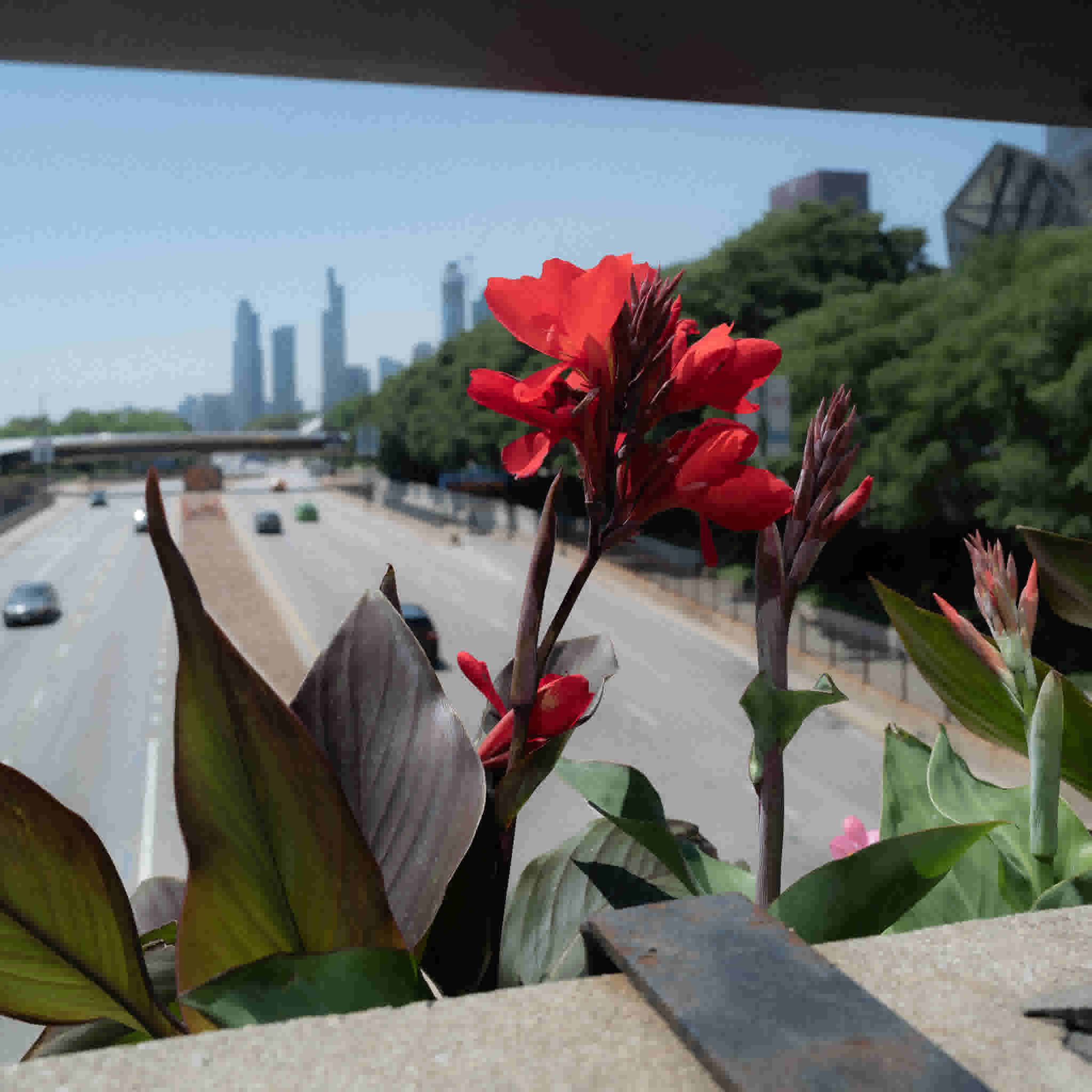 justab0t/L1001480_rbj4hl