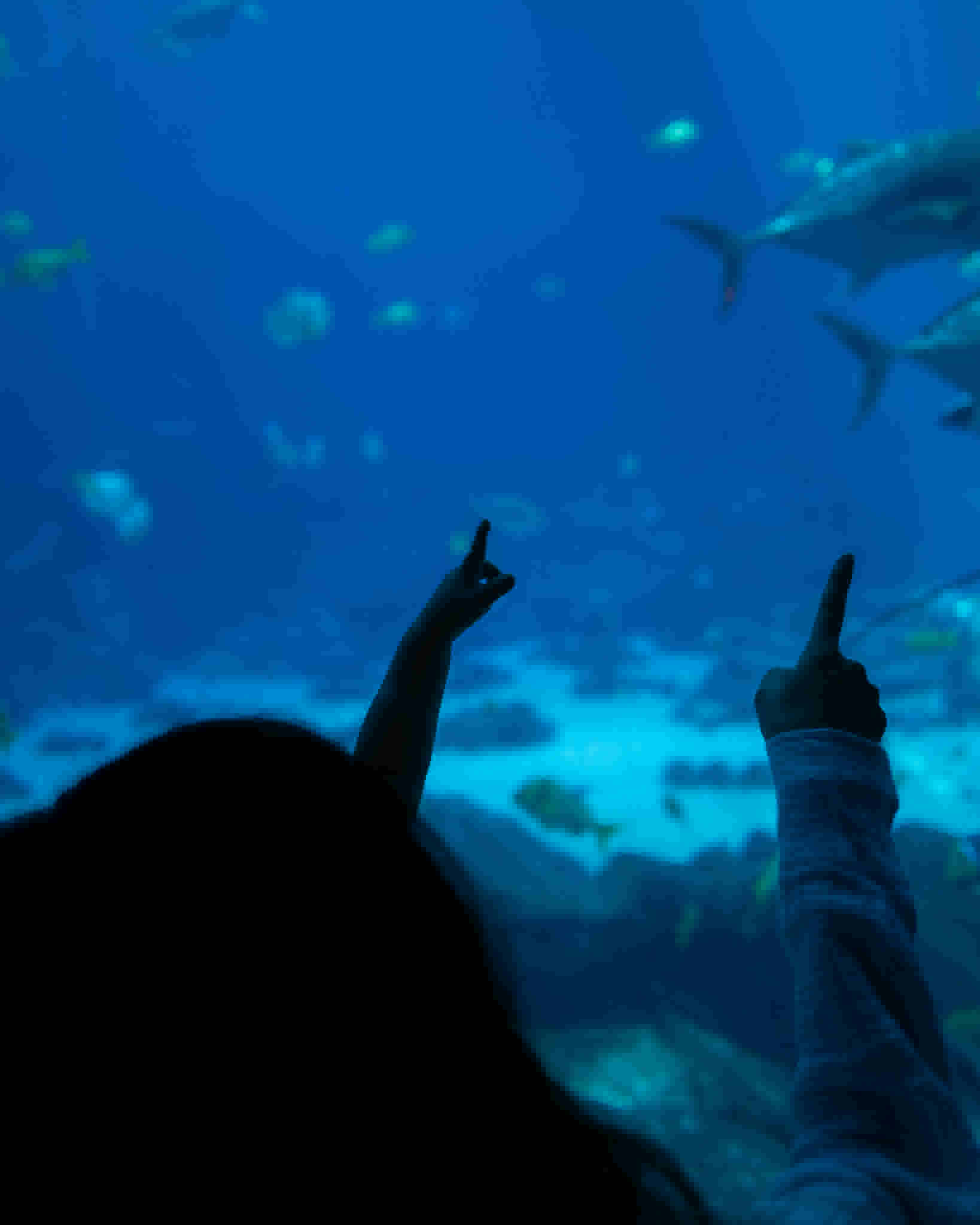 justab0t/L1000995_remjcc