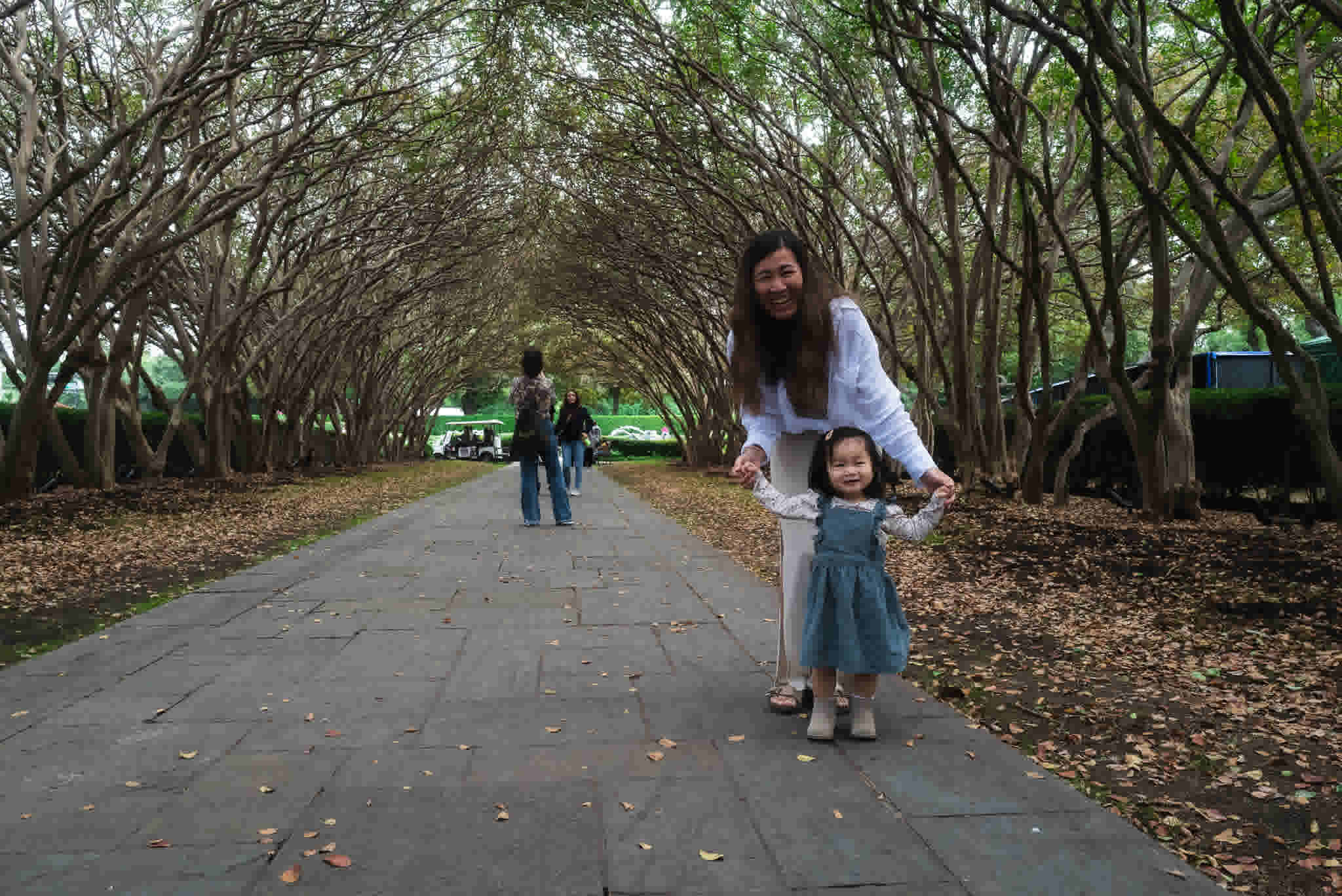 justab0t/L1003102_ao5hrj