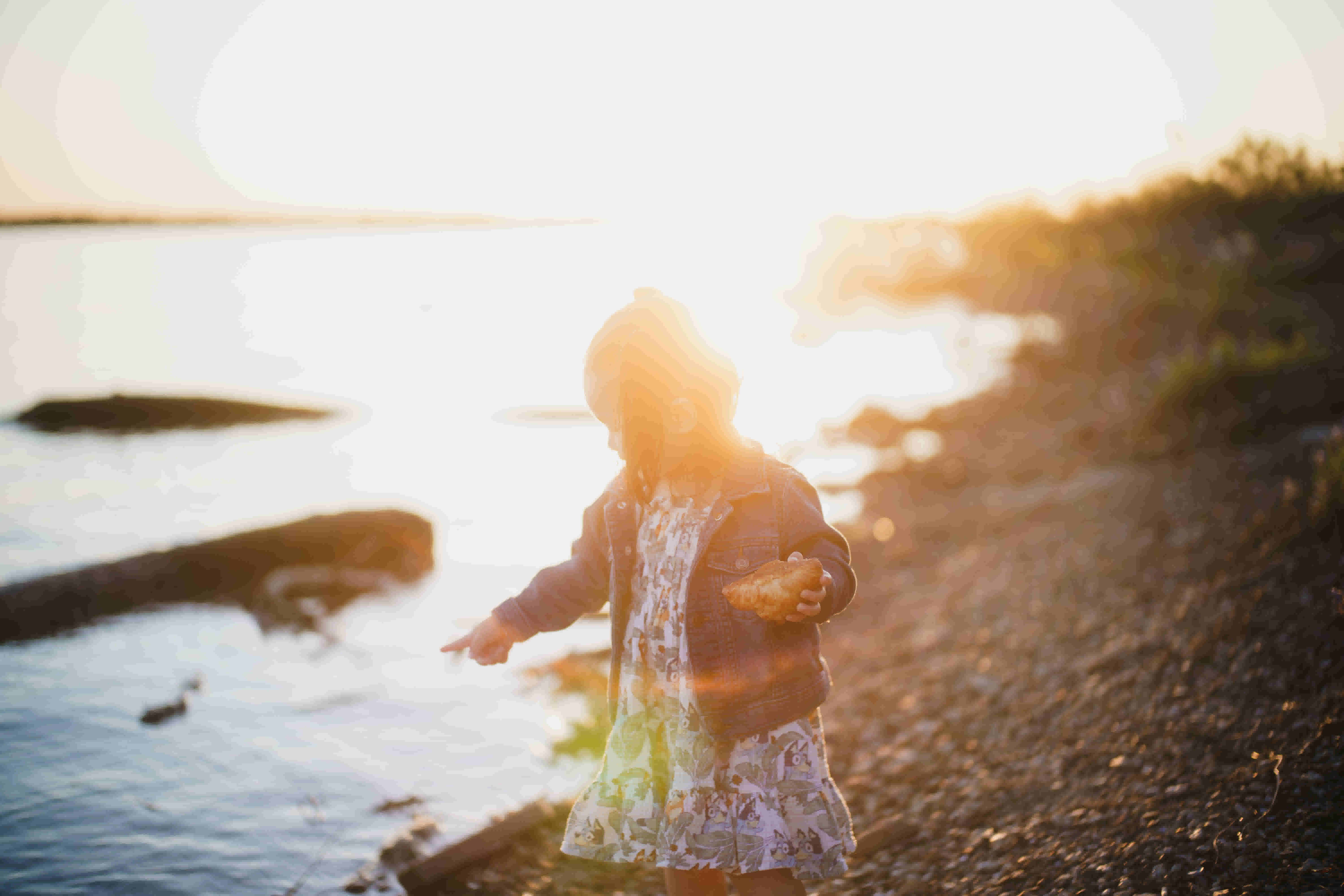 justab0t/JT_07251_z0wism