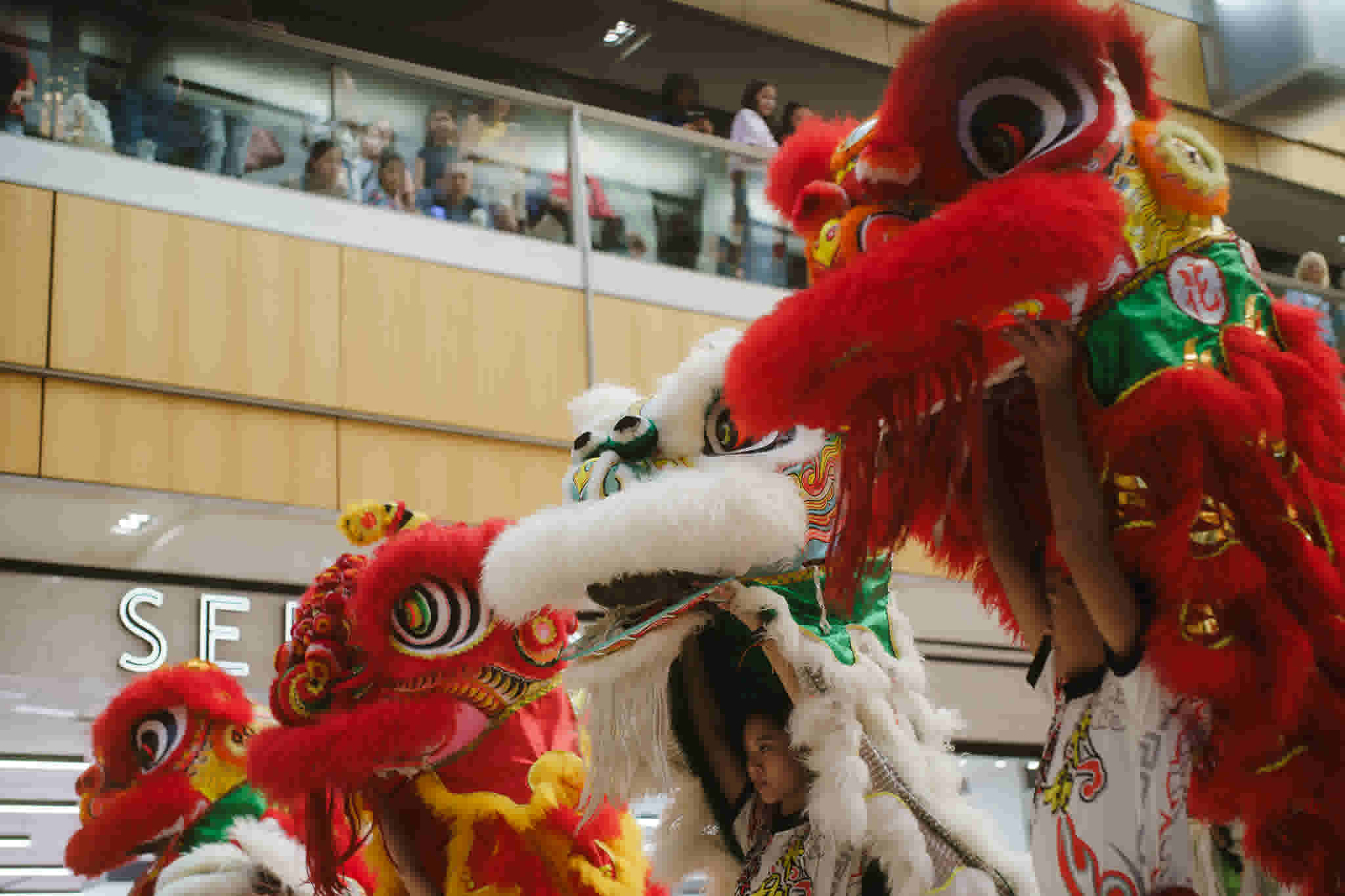 justab0t/JT_00249_zwixjy