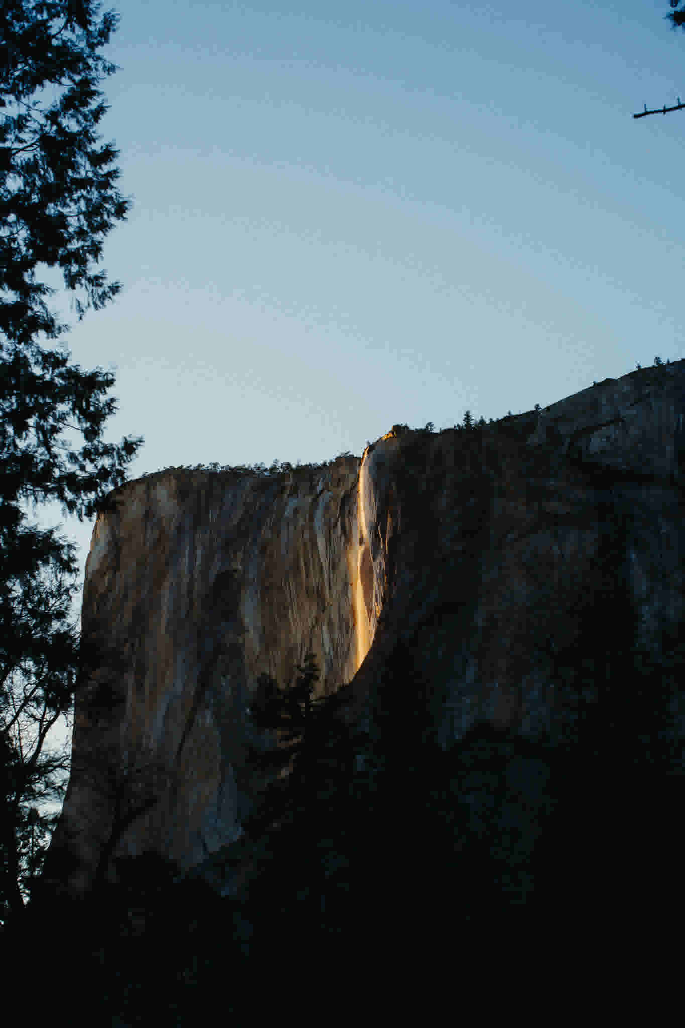 justab0t/JT_00529_fdzitz