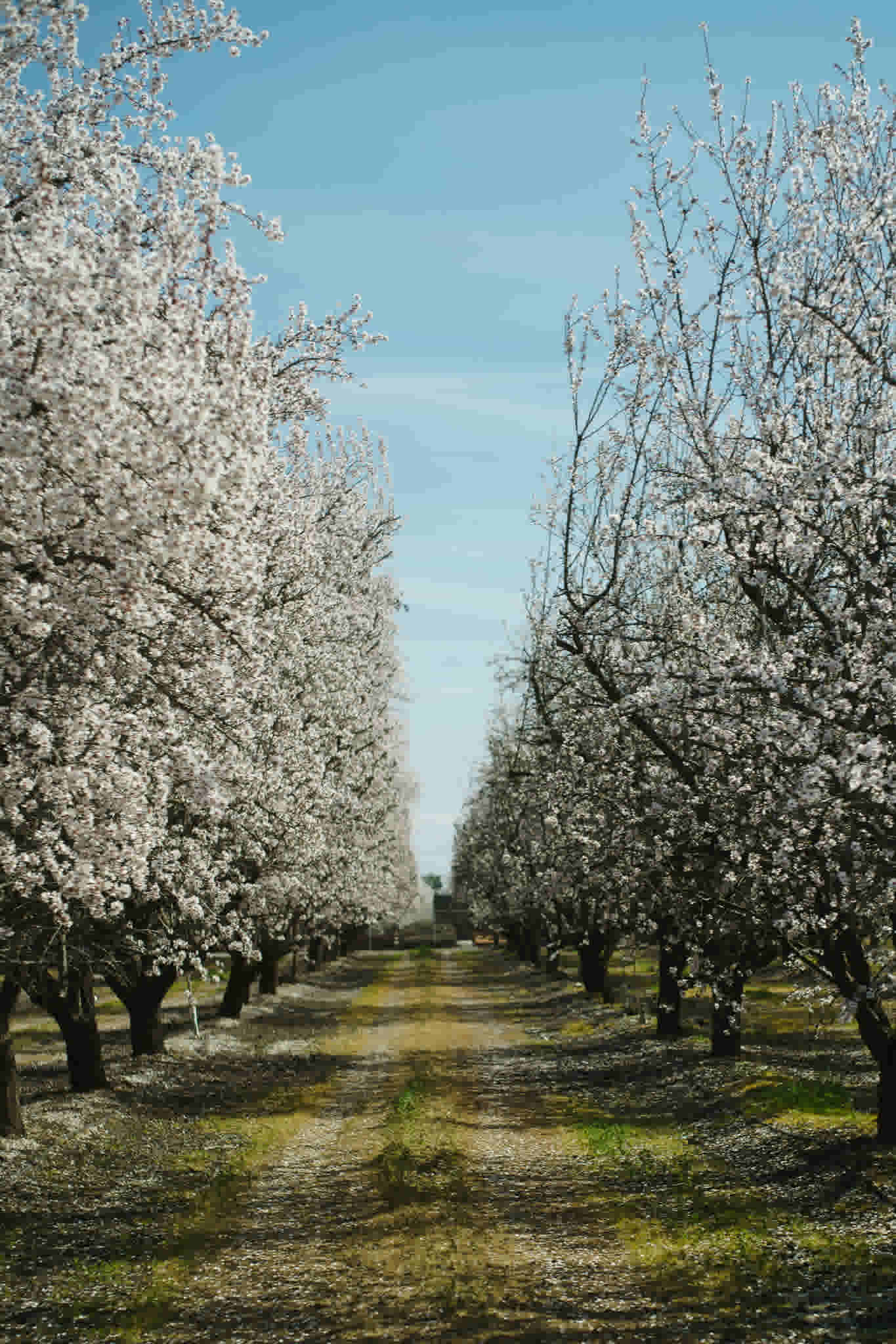 justab0t/JT_00489_vvm5oq