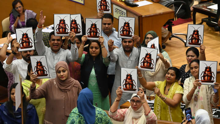 ‘Cockroach Politics’: How India’s Angry Youth Turned An Insult Into A Political Movement