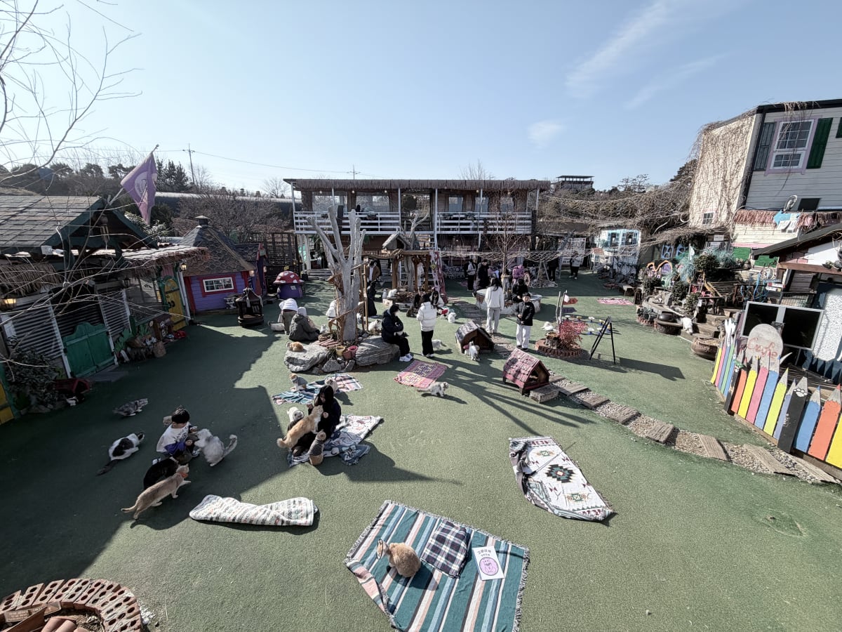 영흥도 고양이역 전체 전경