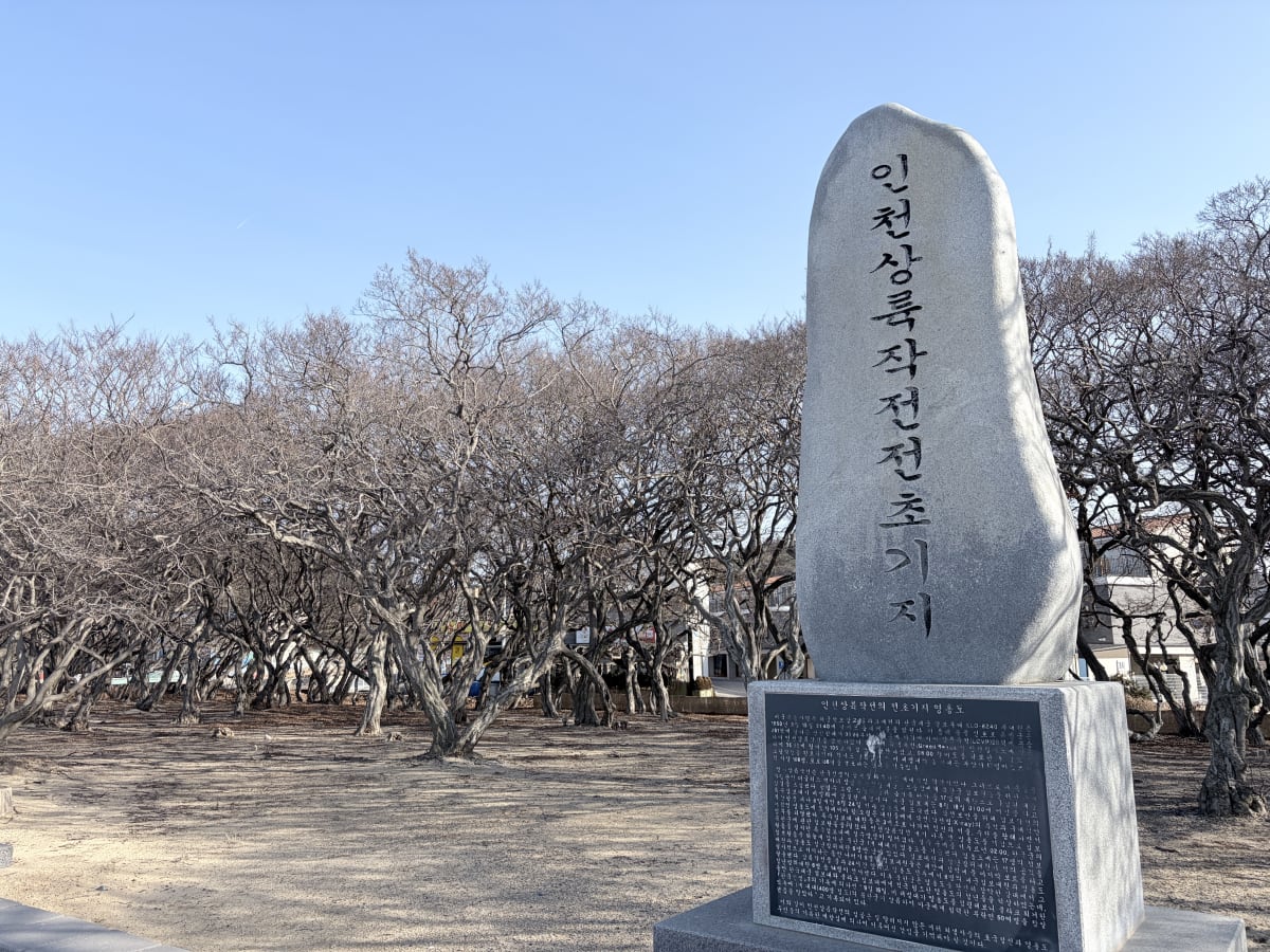 십리포 인천상륙작전 전초기지 비석과 소사나무