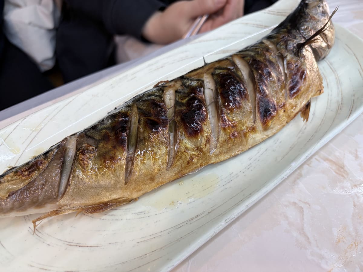 어시장활어회 고등어구이