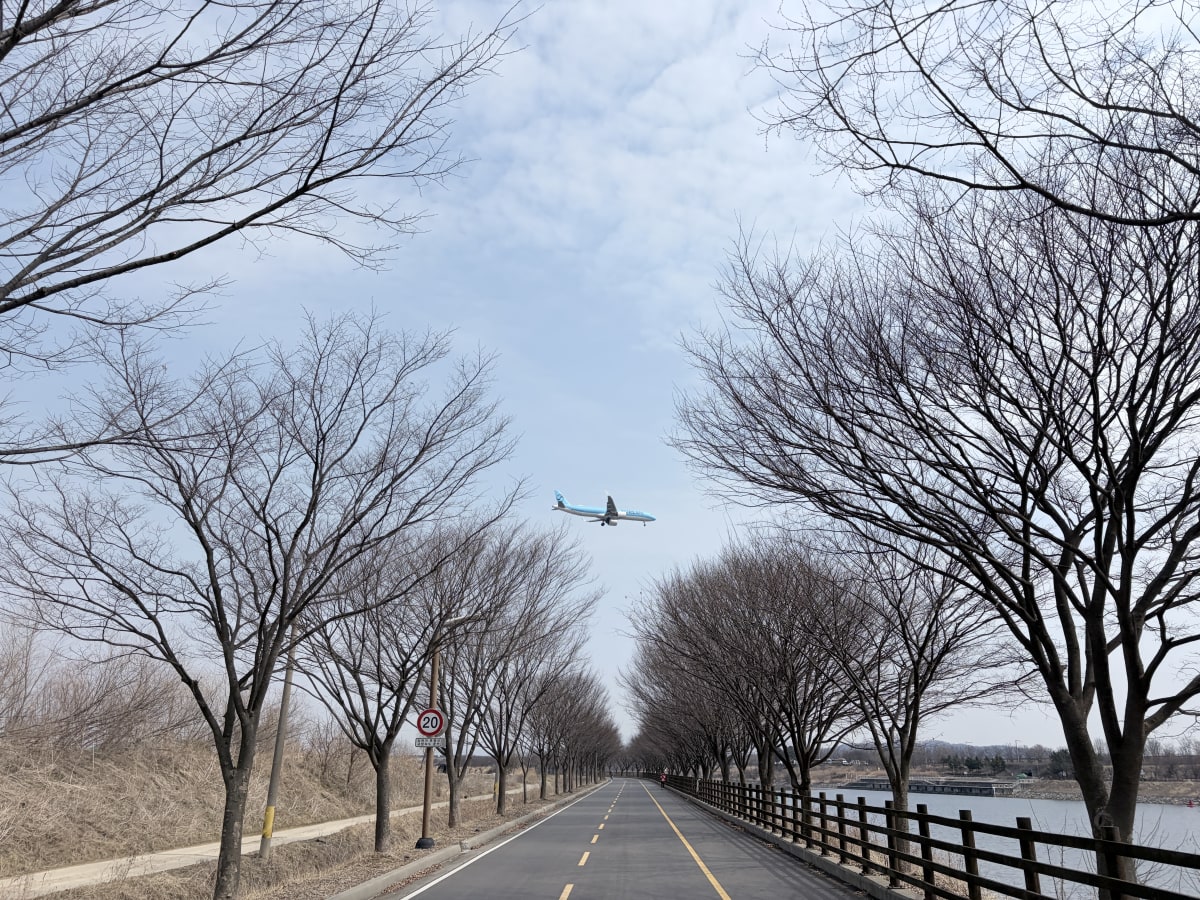 아라뱃길 복귀길 비행기 나무 가로수