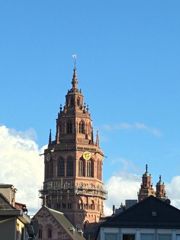 Bild aus orgelbesuch-mainz