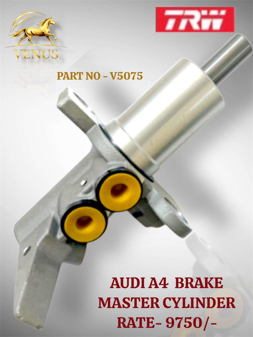 Brake Master Cylinder Audi A4 Mumbai