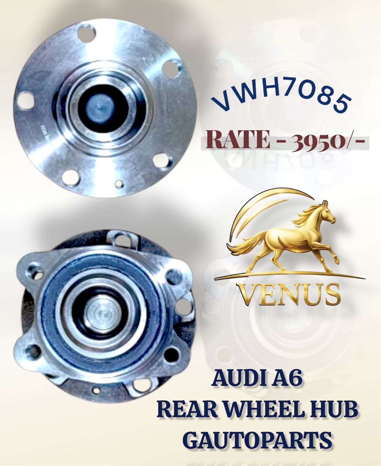 Rear Wheel Hub Audi A6 Mumbai