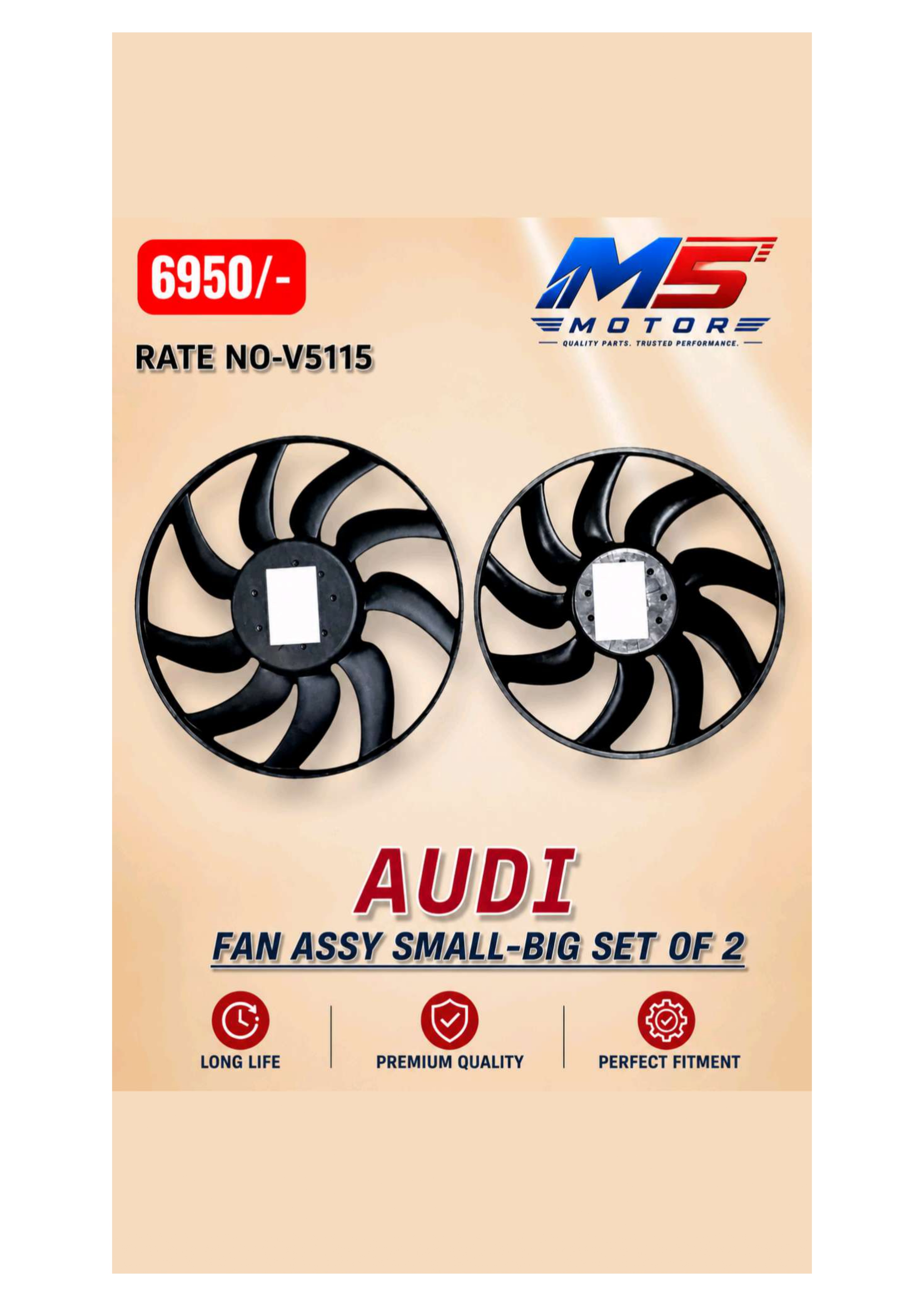 Audi Fan Assy Small-Big Set of 2 Mumbai