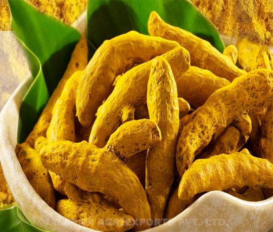 Turmeric Fingers 4