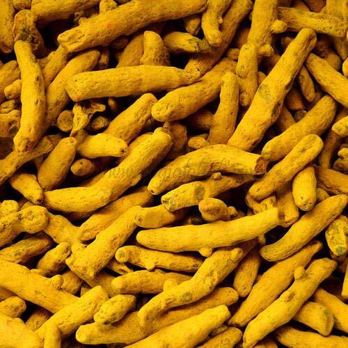 Turmeric Fingers 5