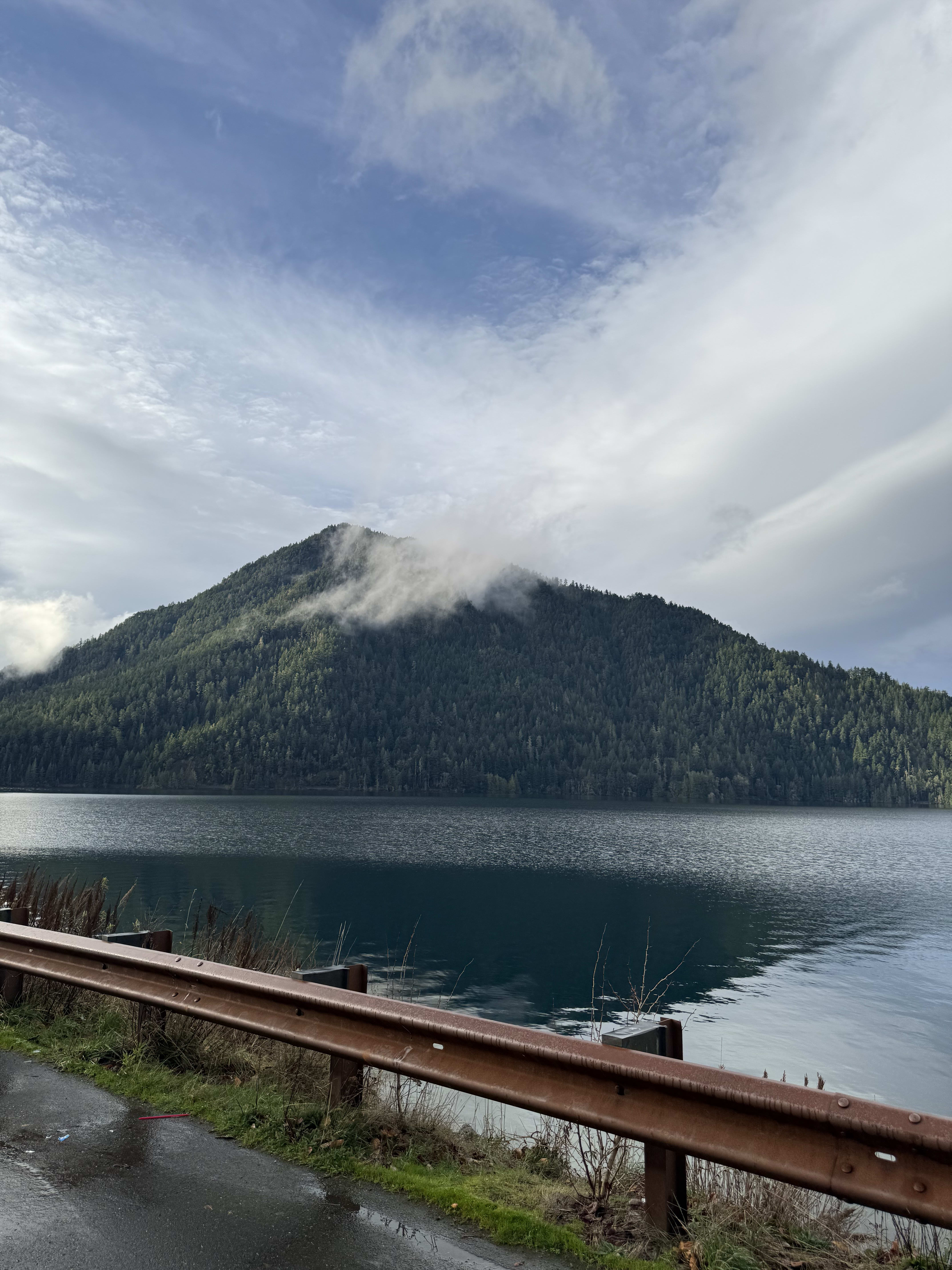 Four kids exploring the rocky shoreline of Lake Crescent in Olympic National Park, Washington