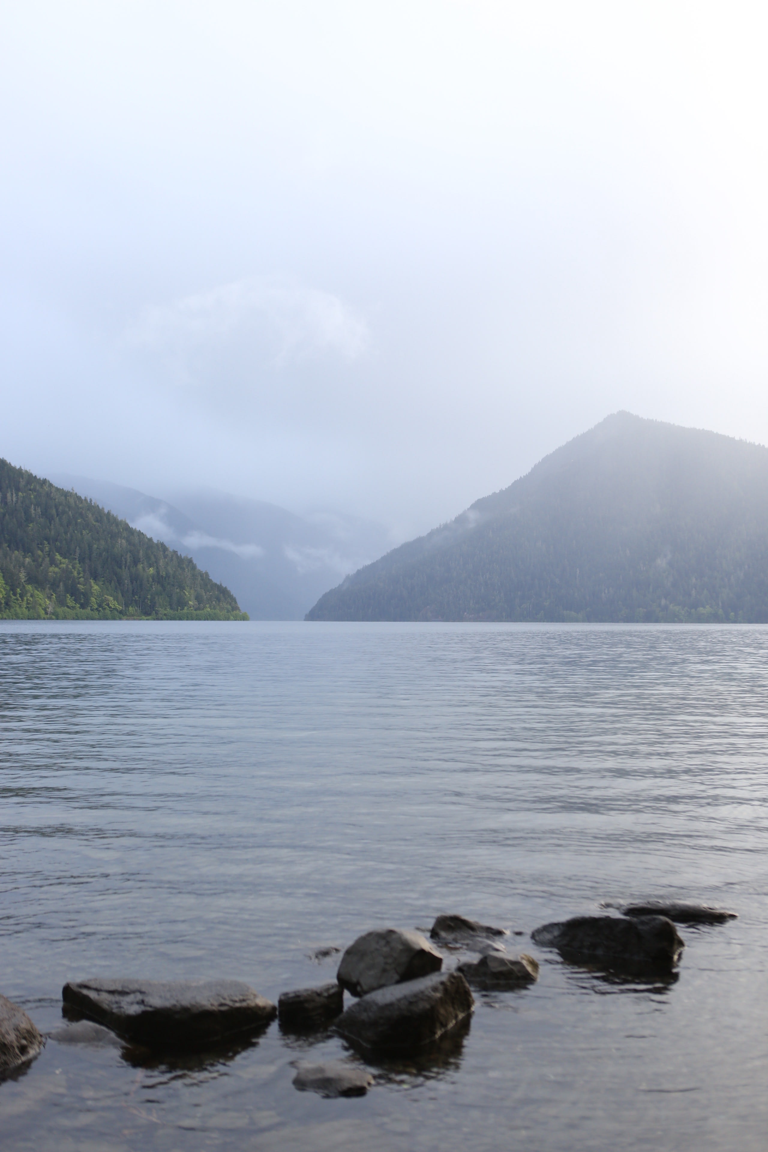 Mist rising off Lake Crescent with forested mountains in the early morning light, Olympic National Park, Washington