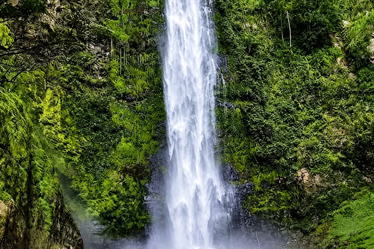 From Accra: The Nature Escape Adventure