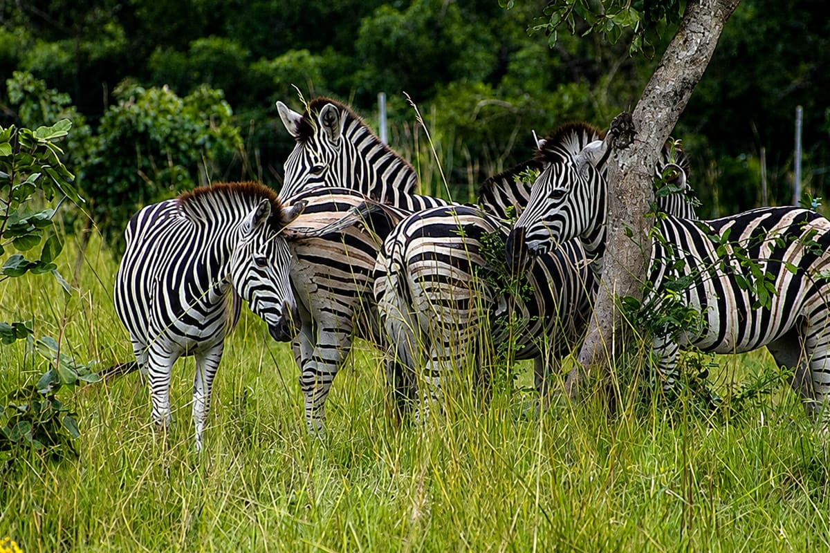From Accra: The Nature Escape Adventure